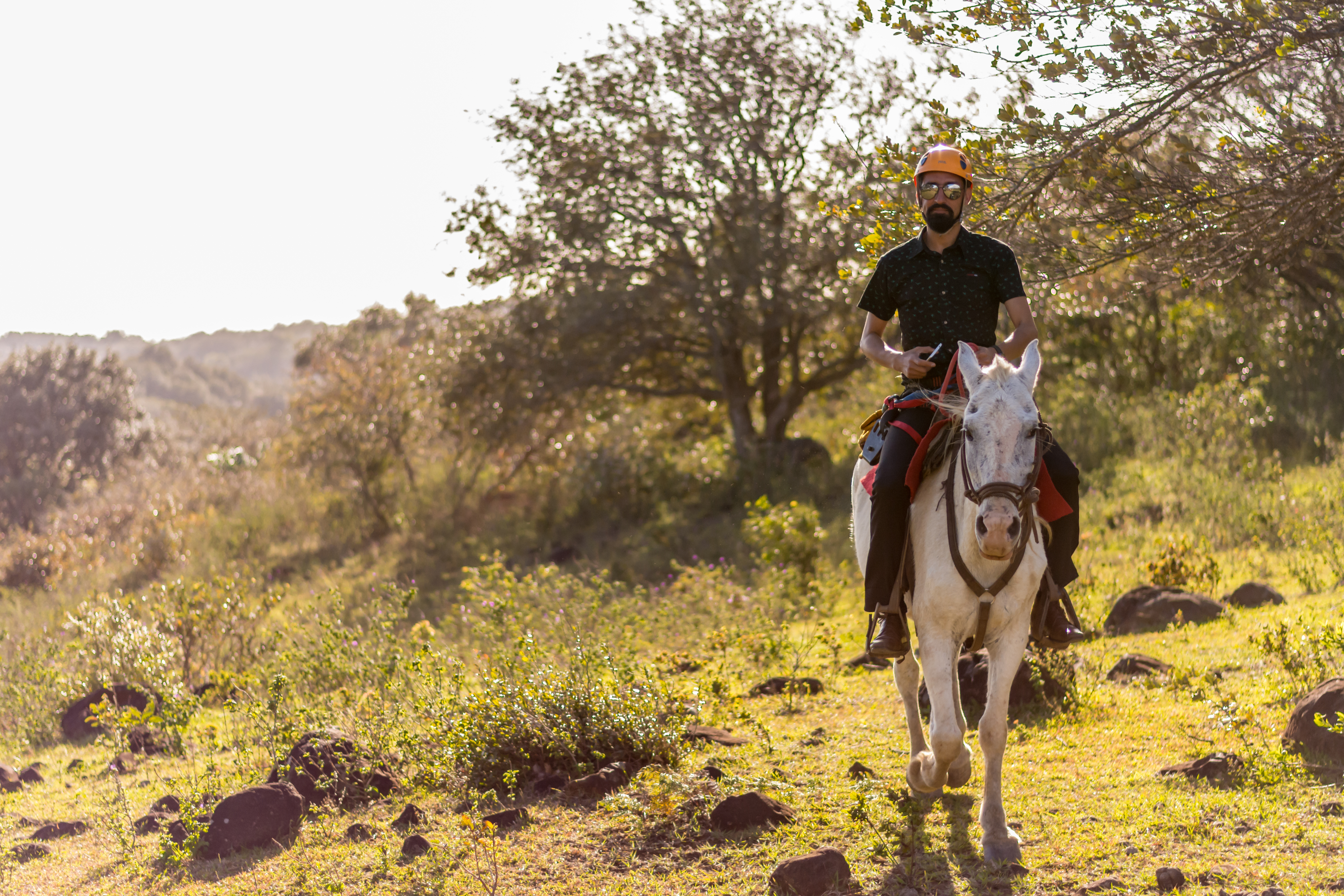 Rinconcito Lodge