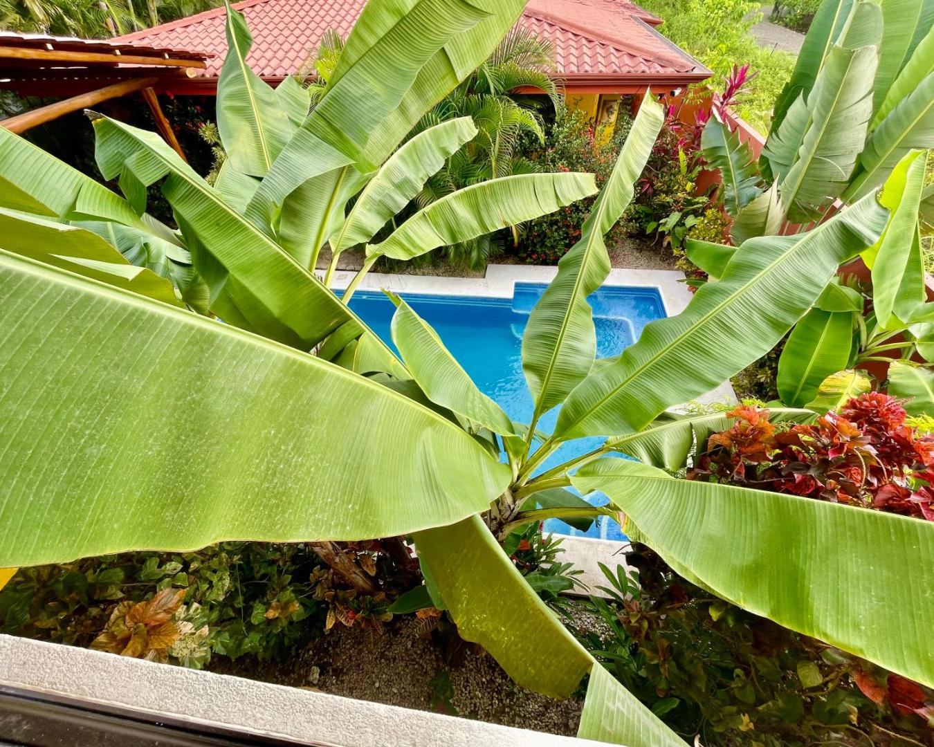 The Inner Light Yoga Lodge