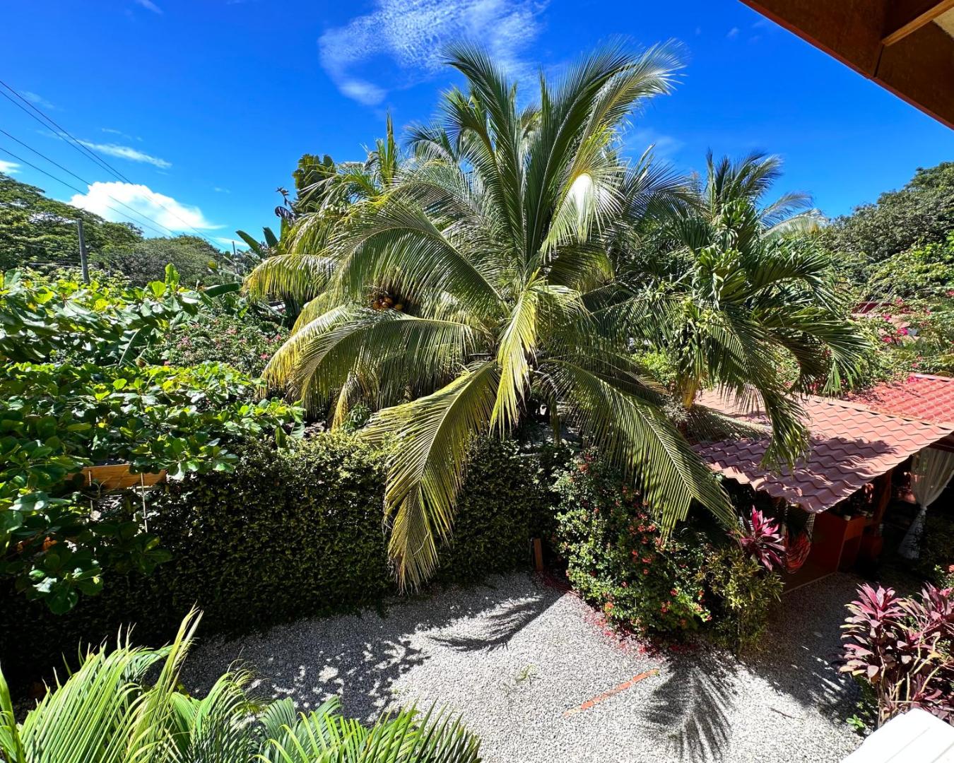 The Inner Light Yoga Lodge