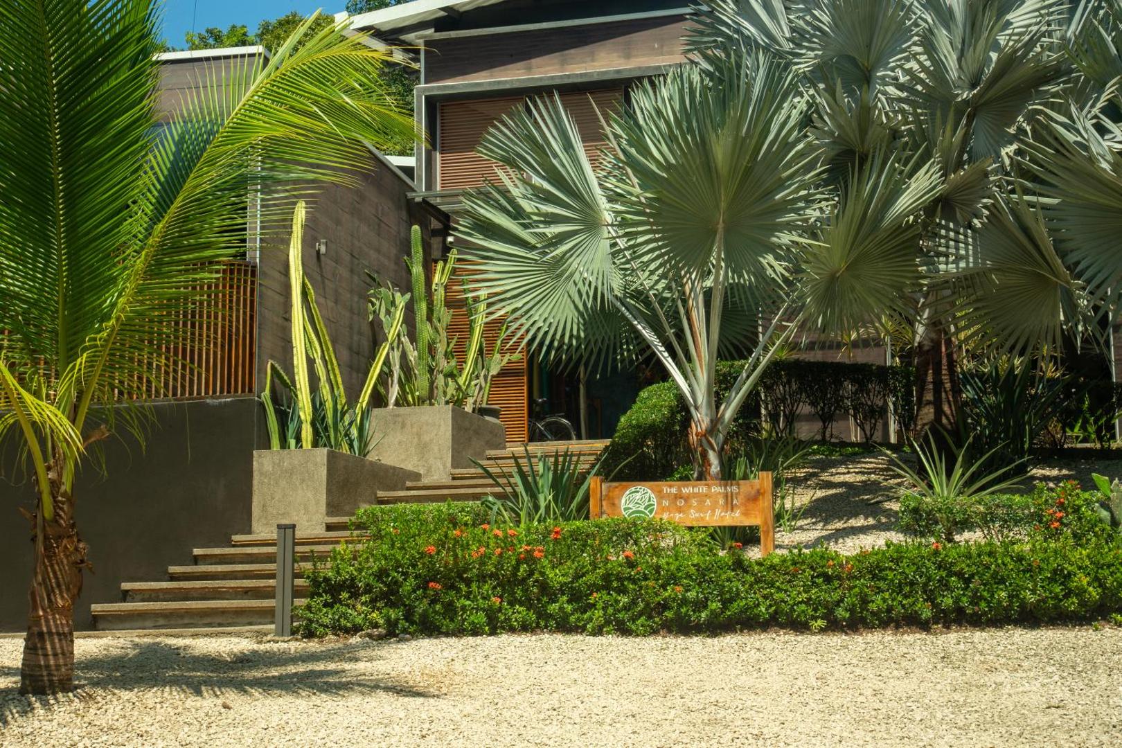 The Withe Palms Nosara Yoga Surf Hotel