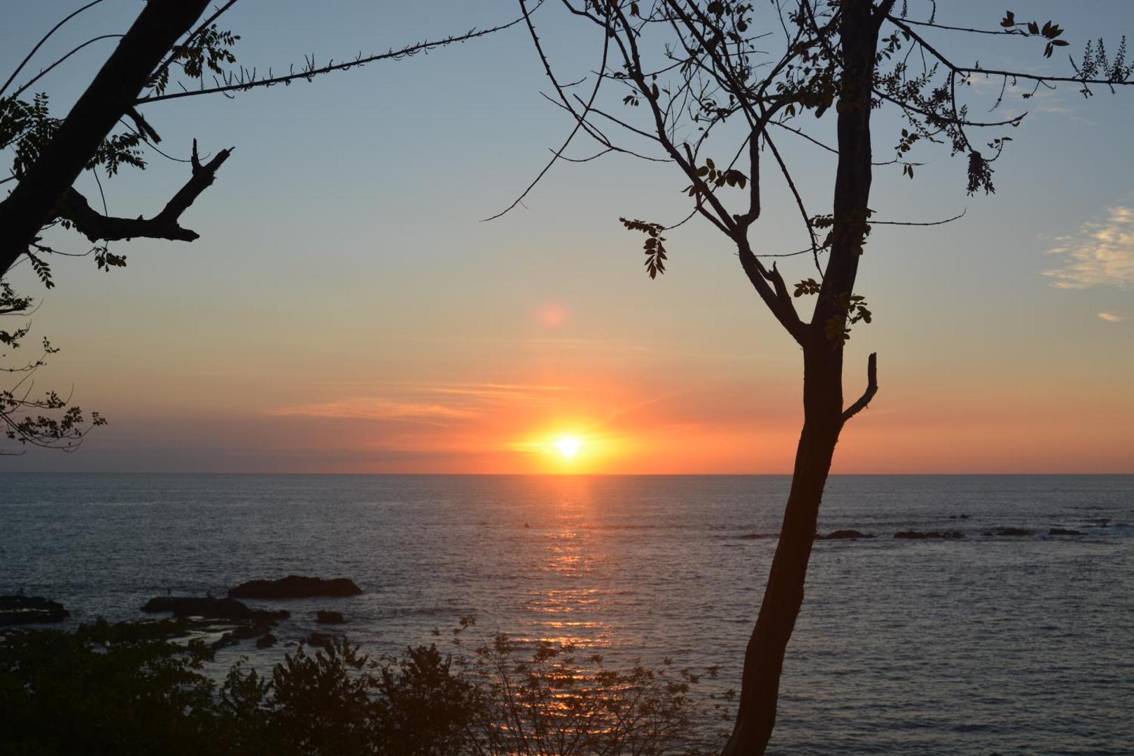 Tree Tops Beachfront B & B