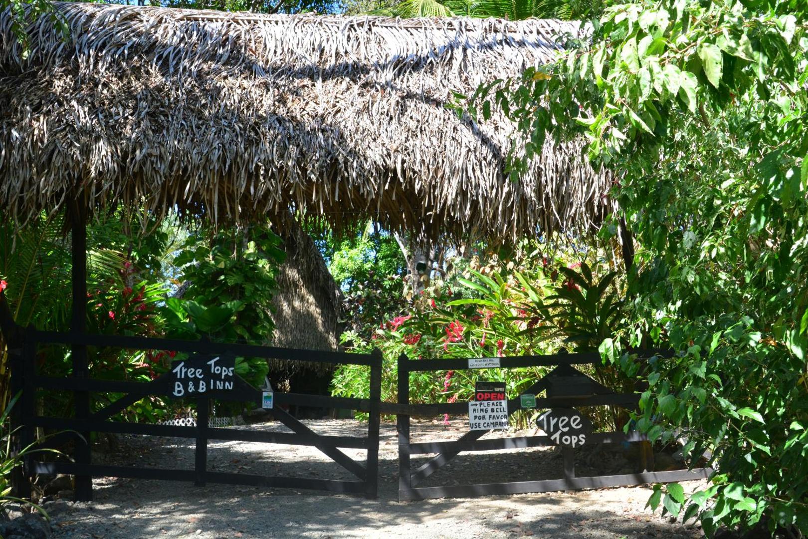 Tree Tops Beachfront B & B