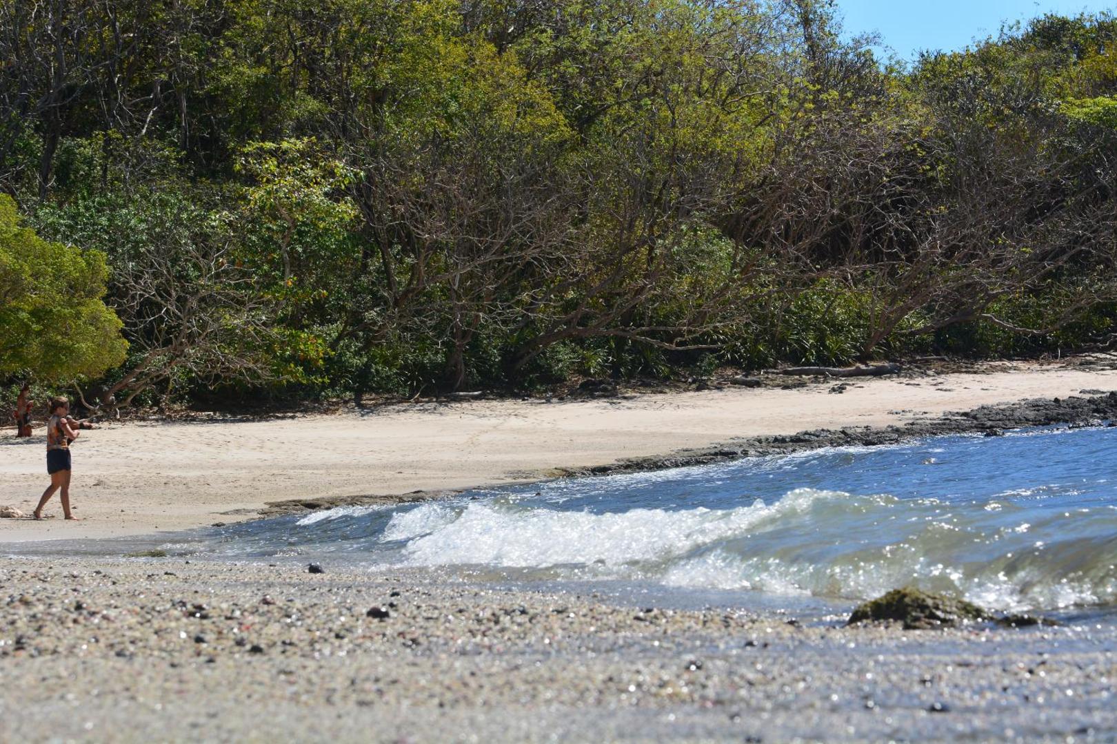 Tree Tops Beachfront B & B