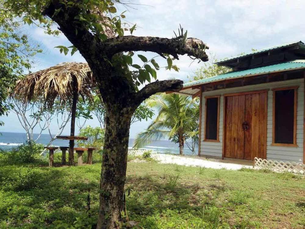 Tree Tops Beachfront B & B