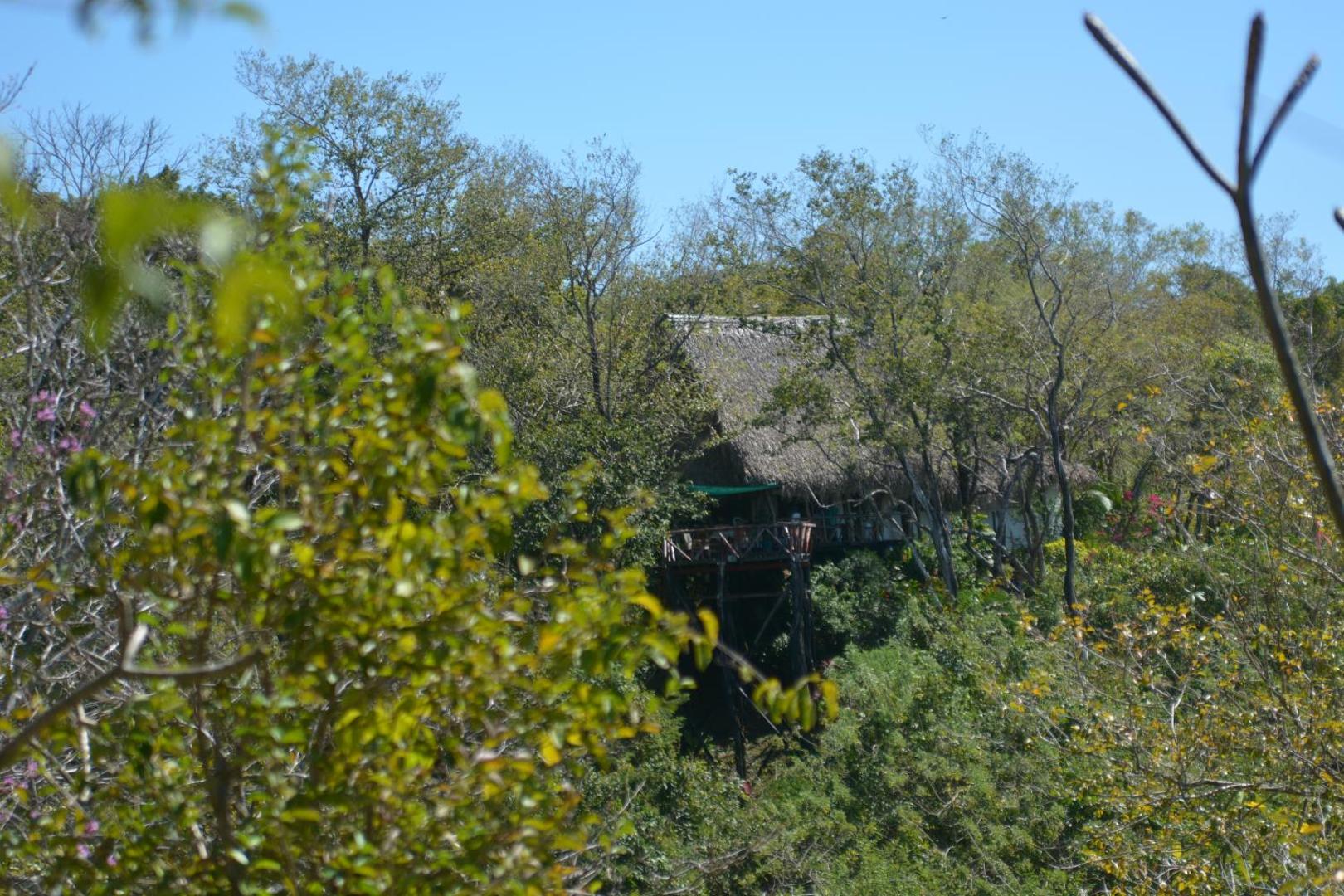 Tree Tops Beachfront B & B