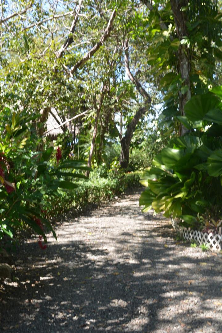 Tree Tops Beachfront B & B