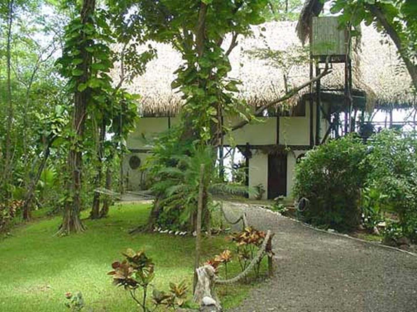 Tree Tops Beachfront B & B