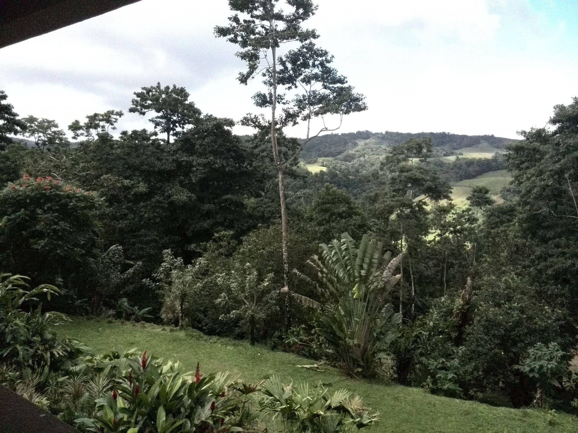 Hotel Fuego Arenal
