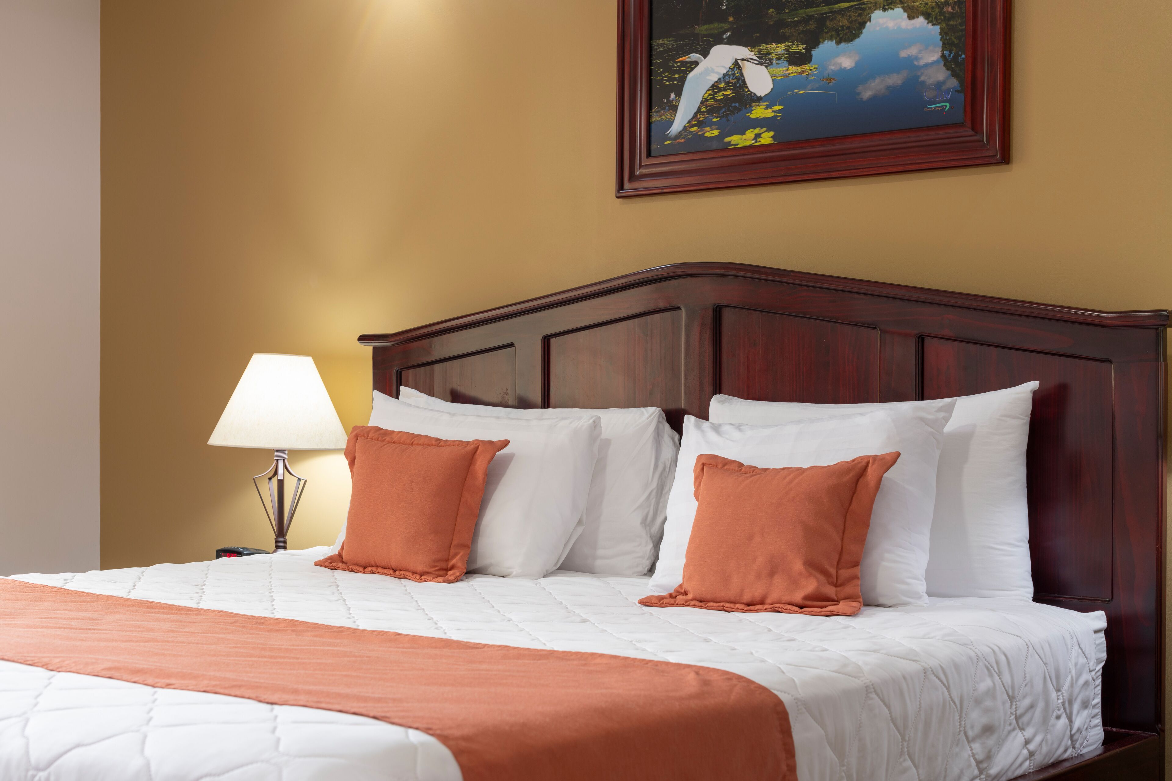 Hotel Magic Mountain