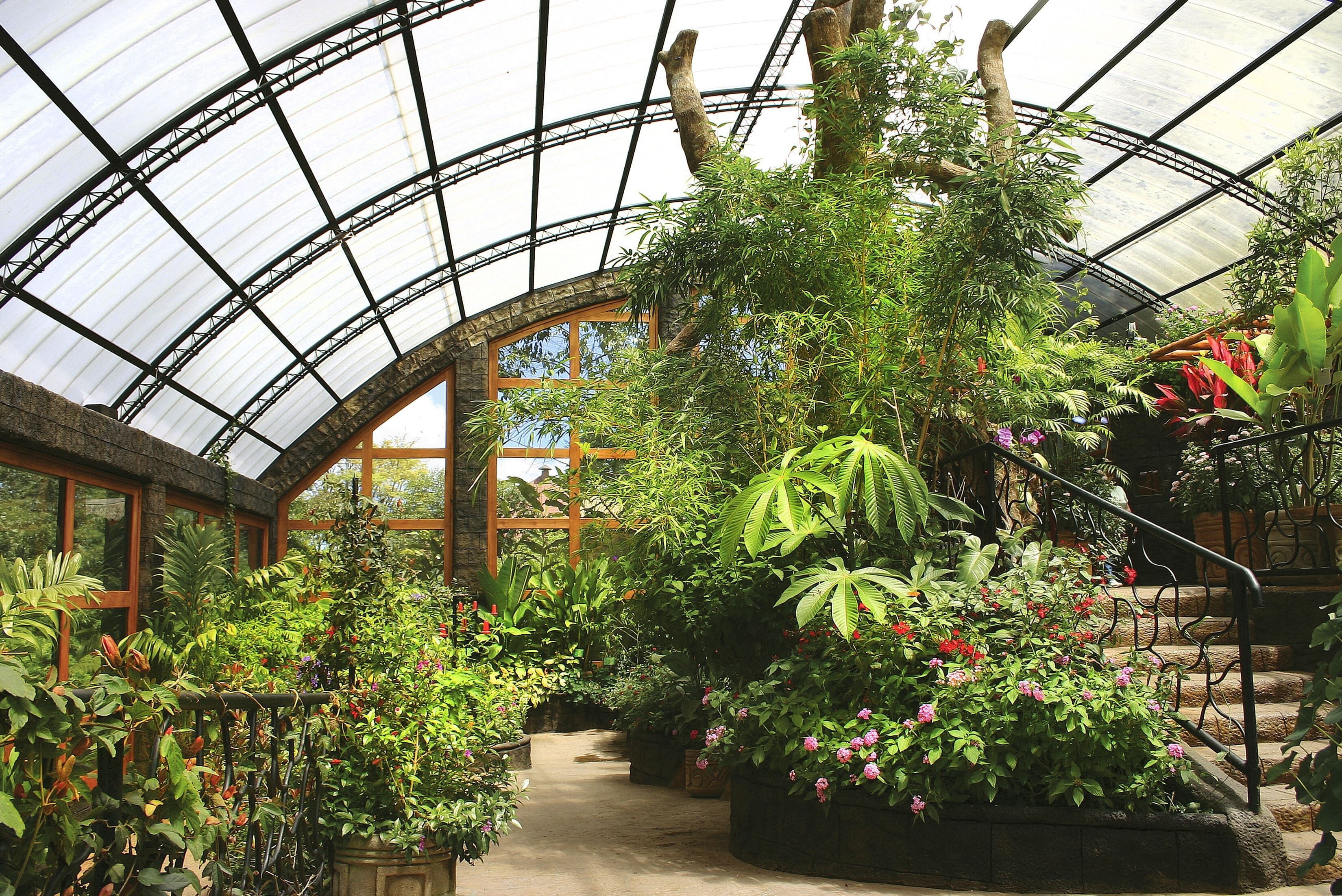 Peace Lodge