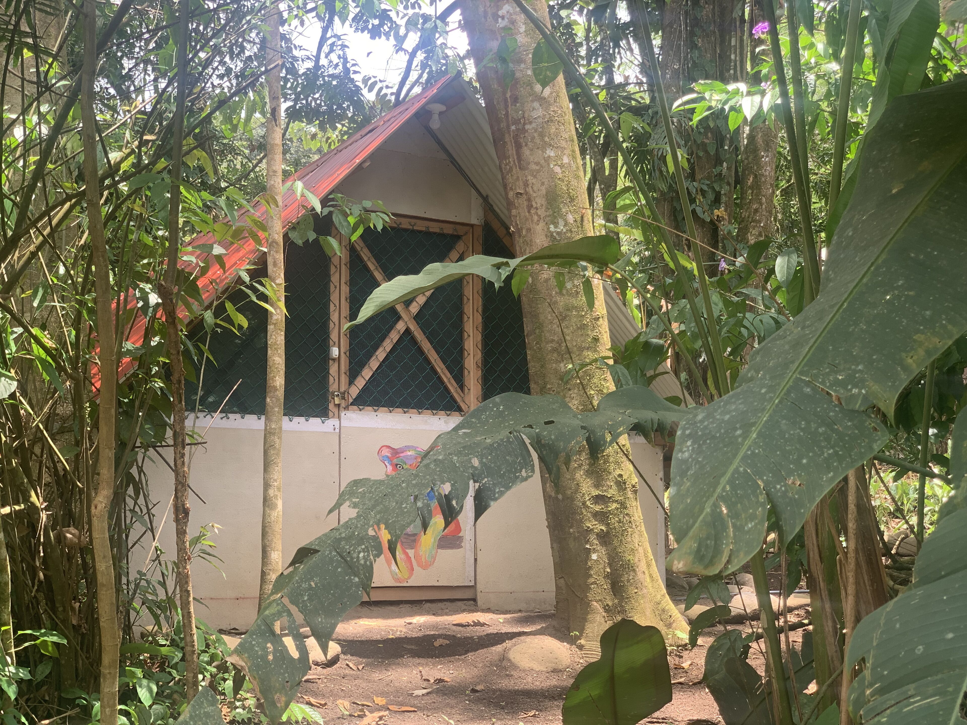 Costa Rica Camping Lodge
