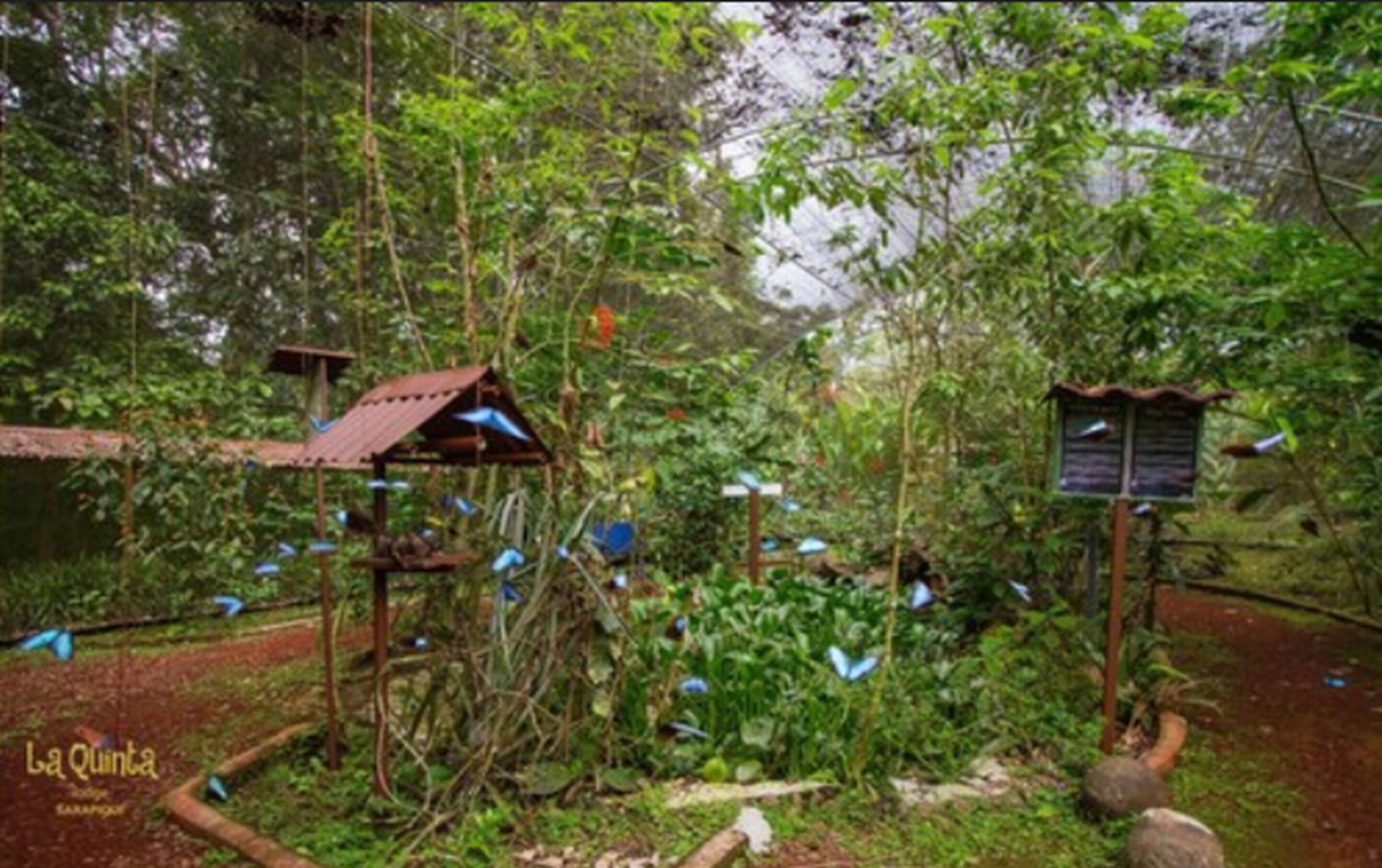 La Quinta Lodge Sarapiqui