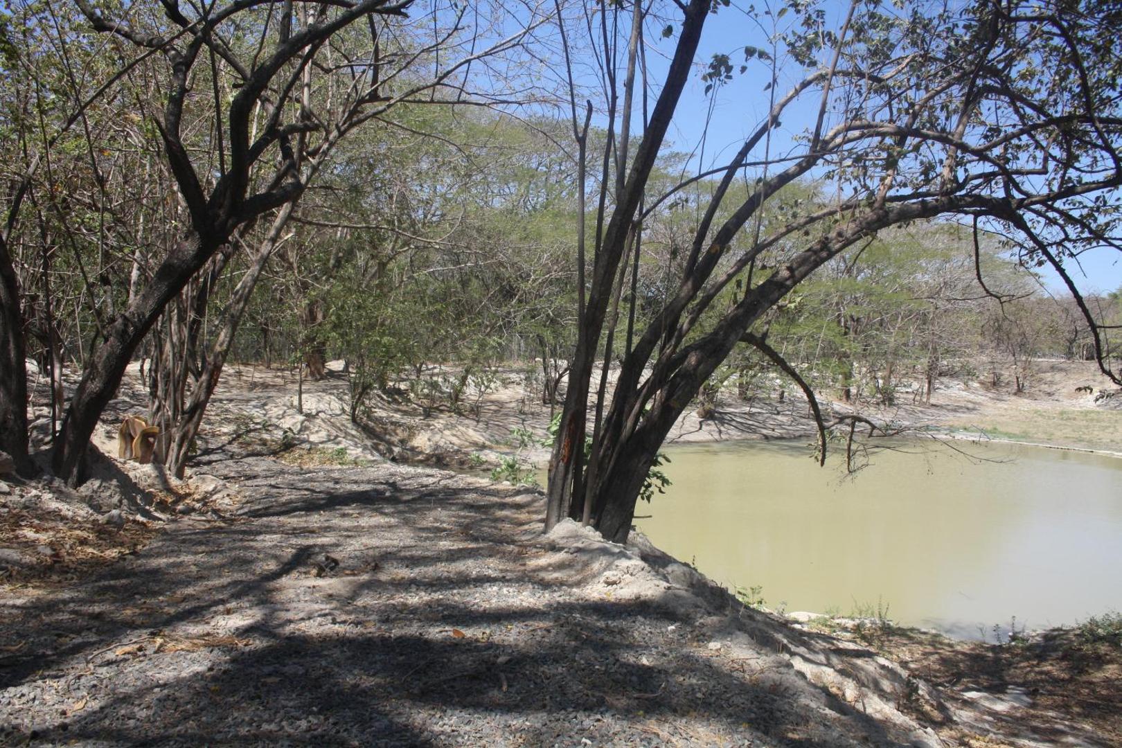 Best Western El Sitio Hotel & Casino