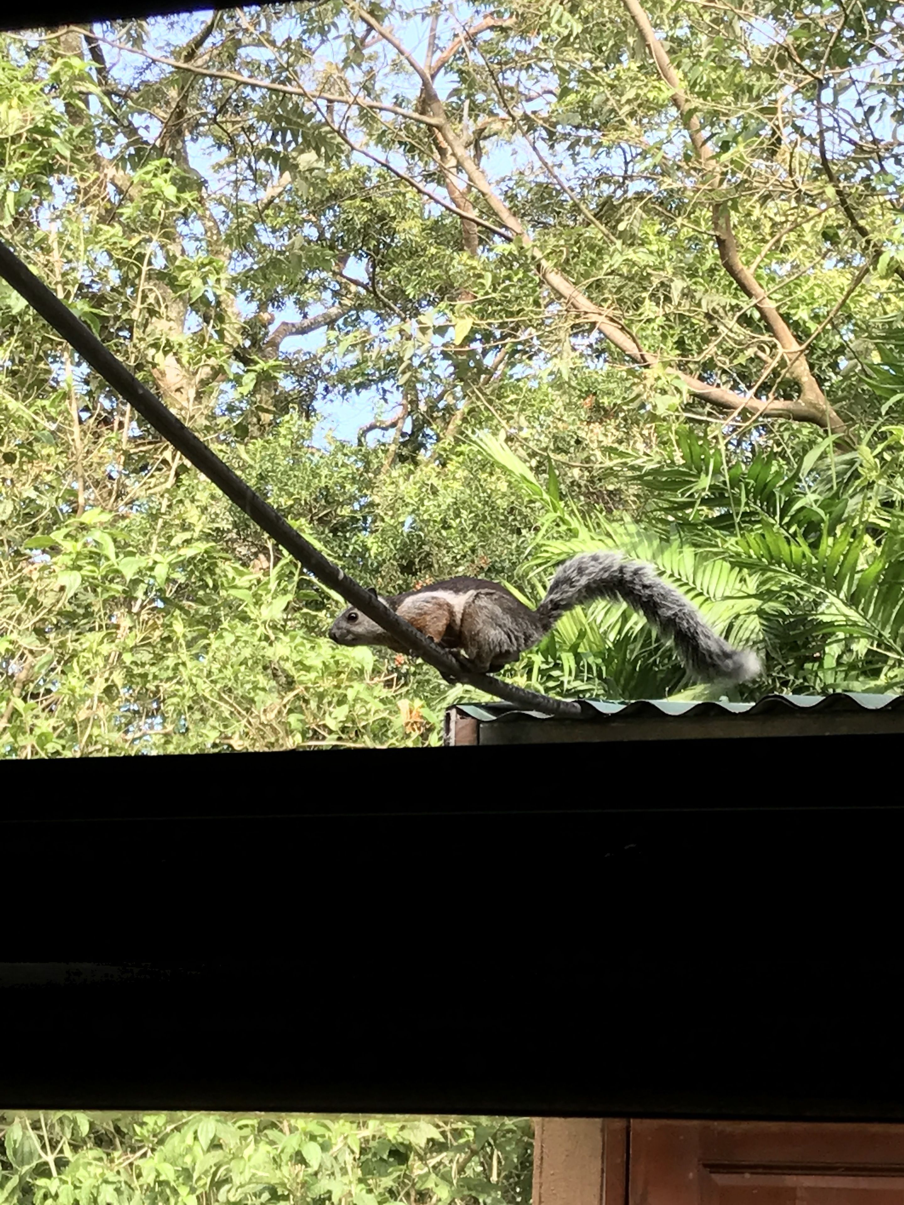 Dreams Lodge Monteverde