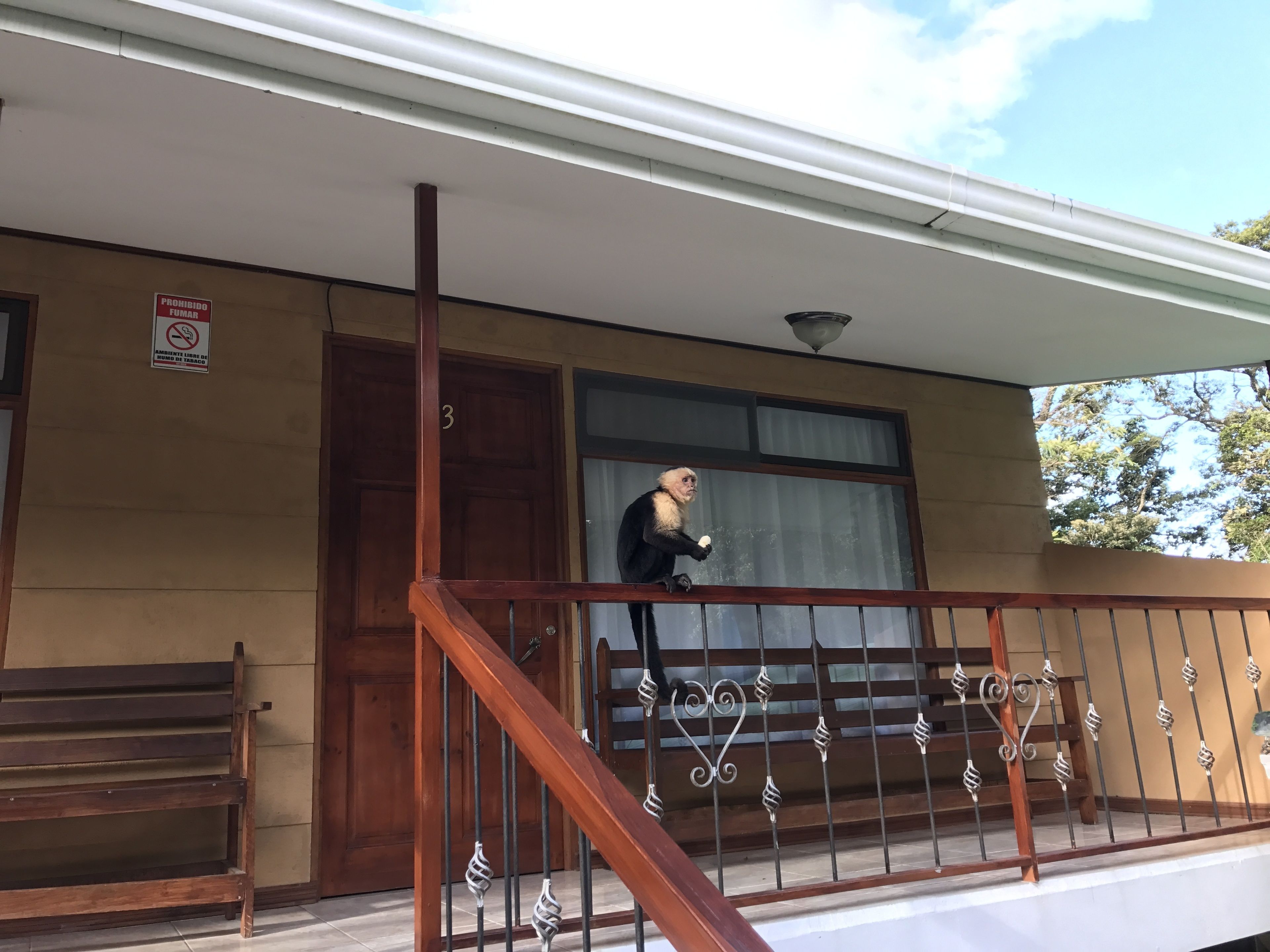 Dreams Lodge Monteverde