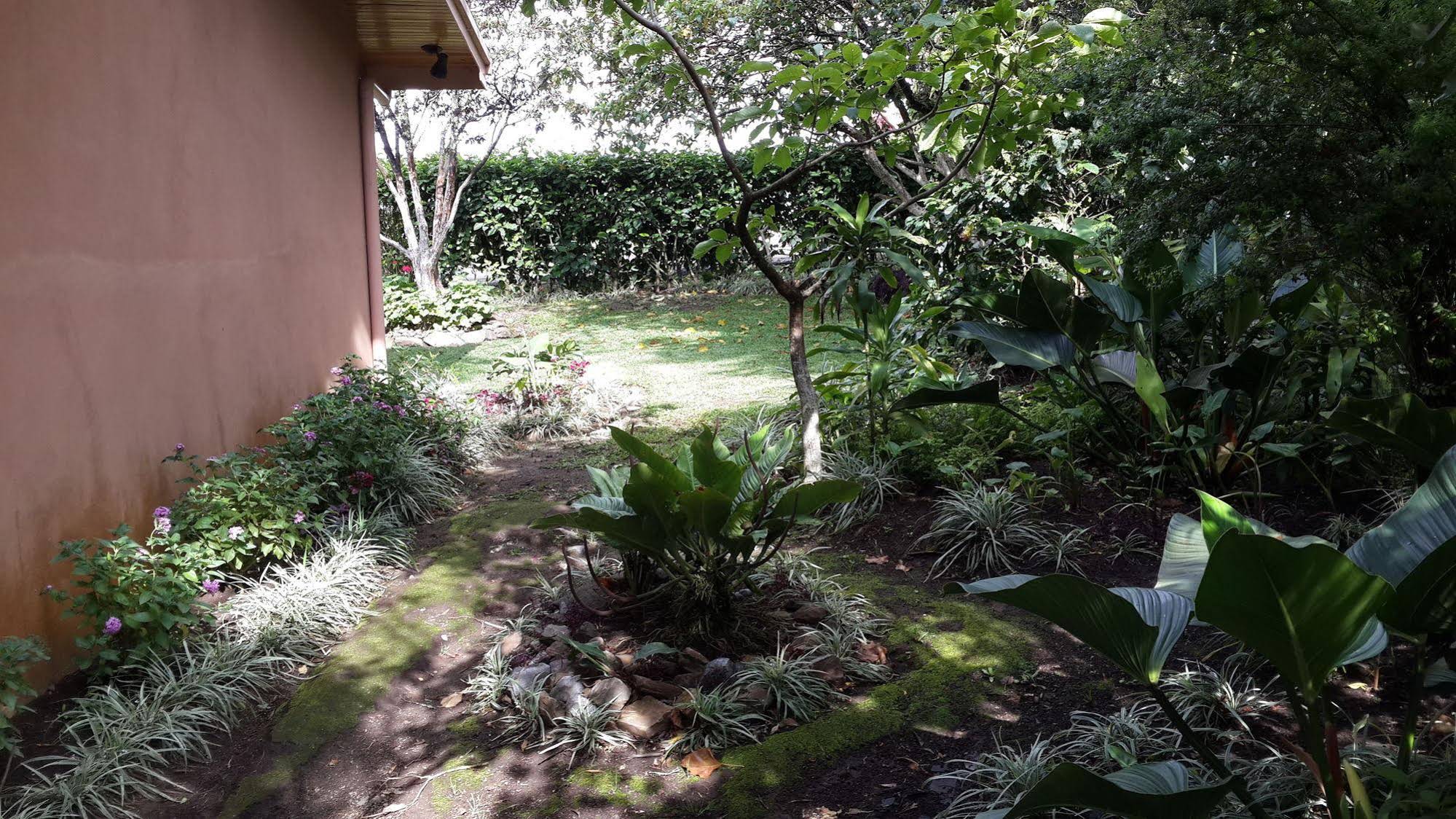 Hotel Las Orquideas