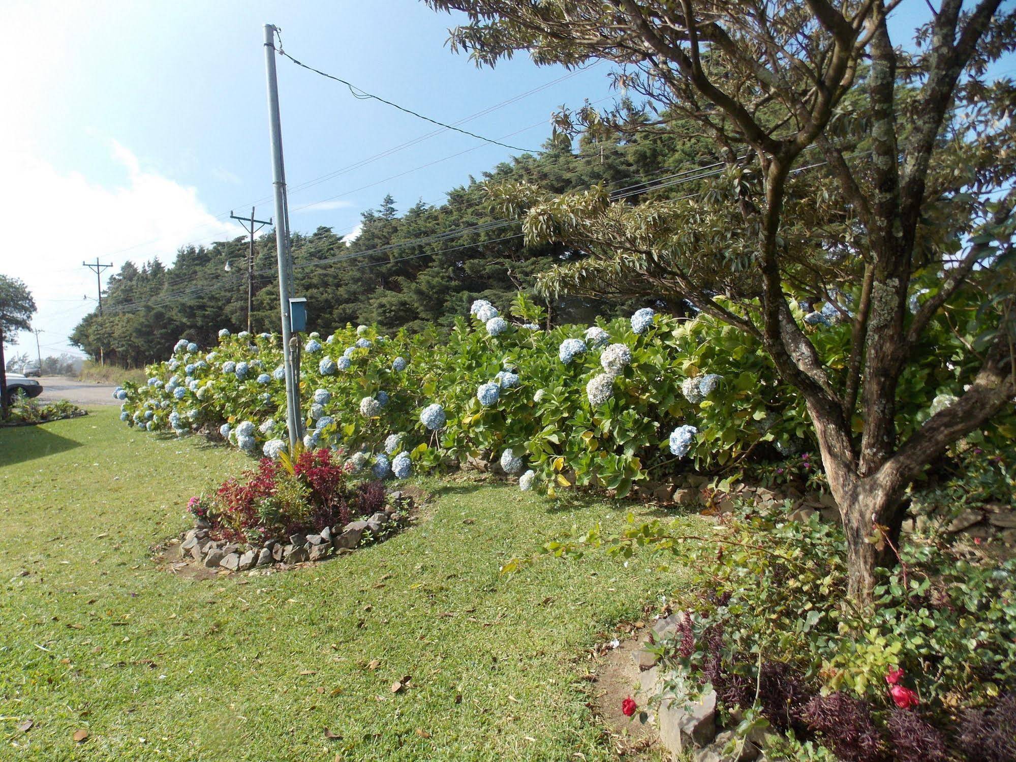 Hotel Las Orquideas