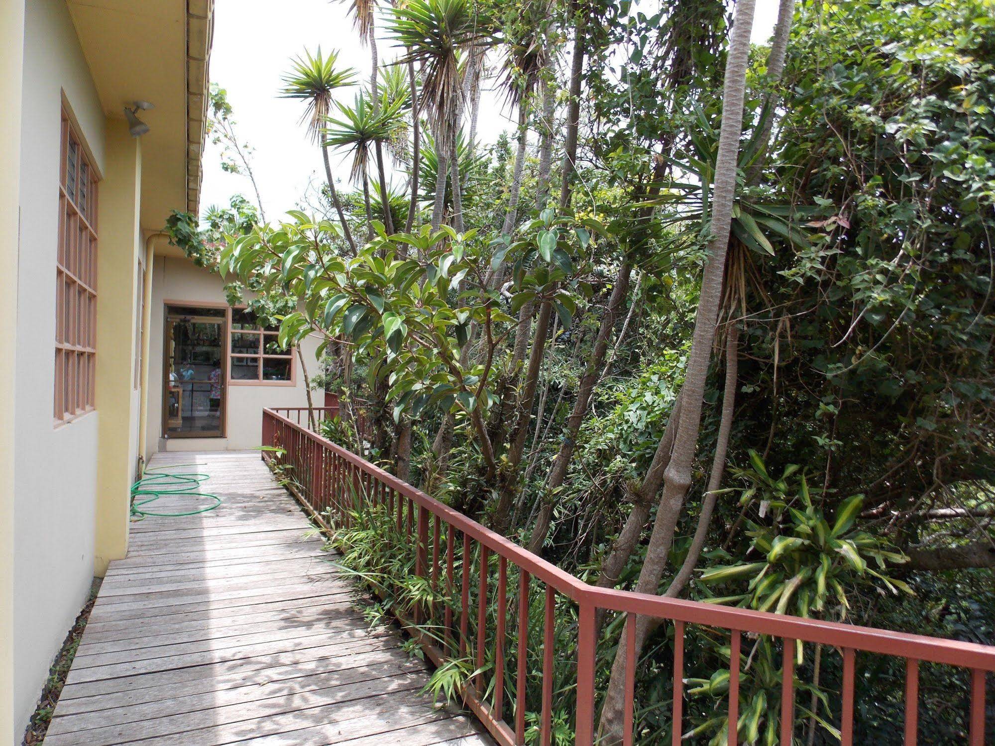 Hotel Las Orquideas