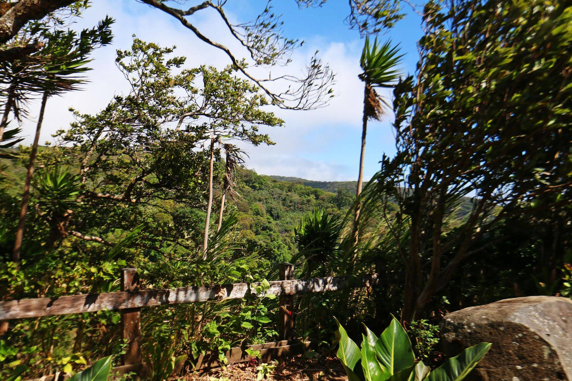 Hotel Las Orquideas
