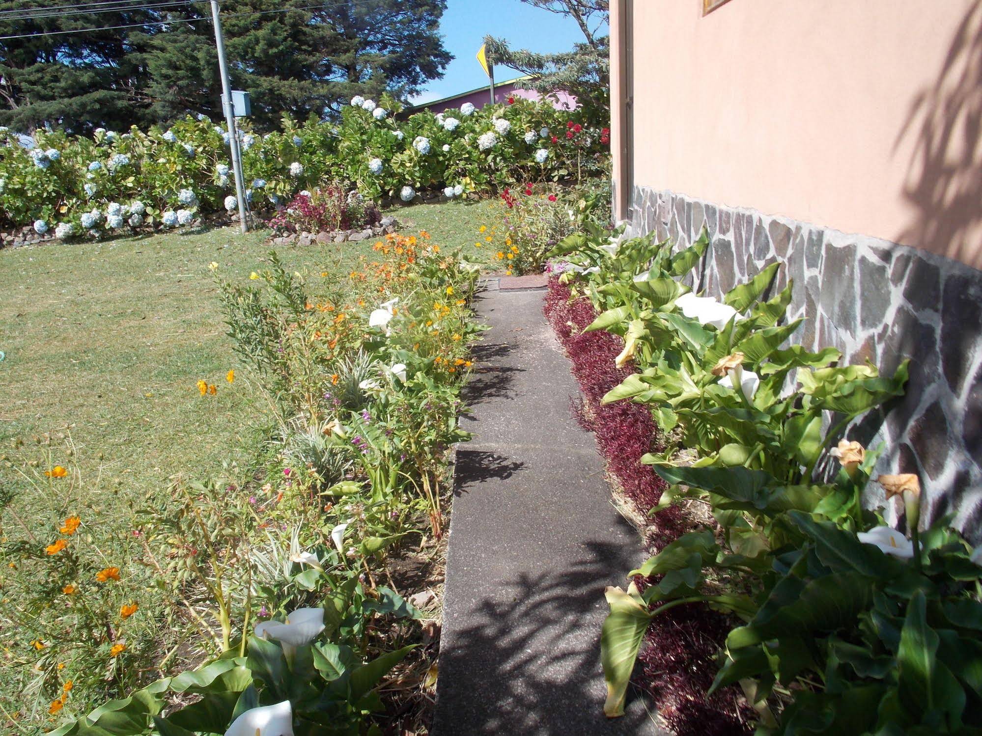 Hotel Las Orquideas