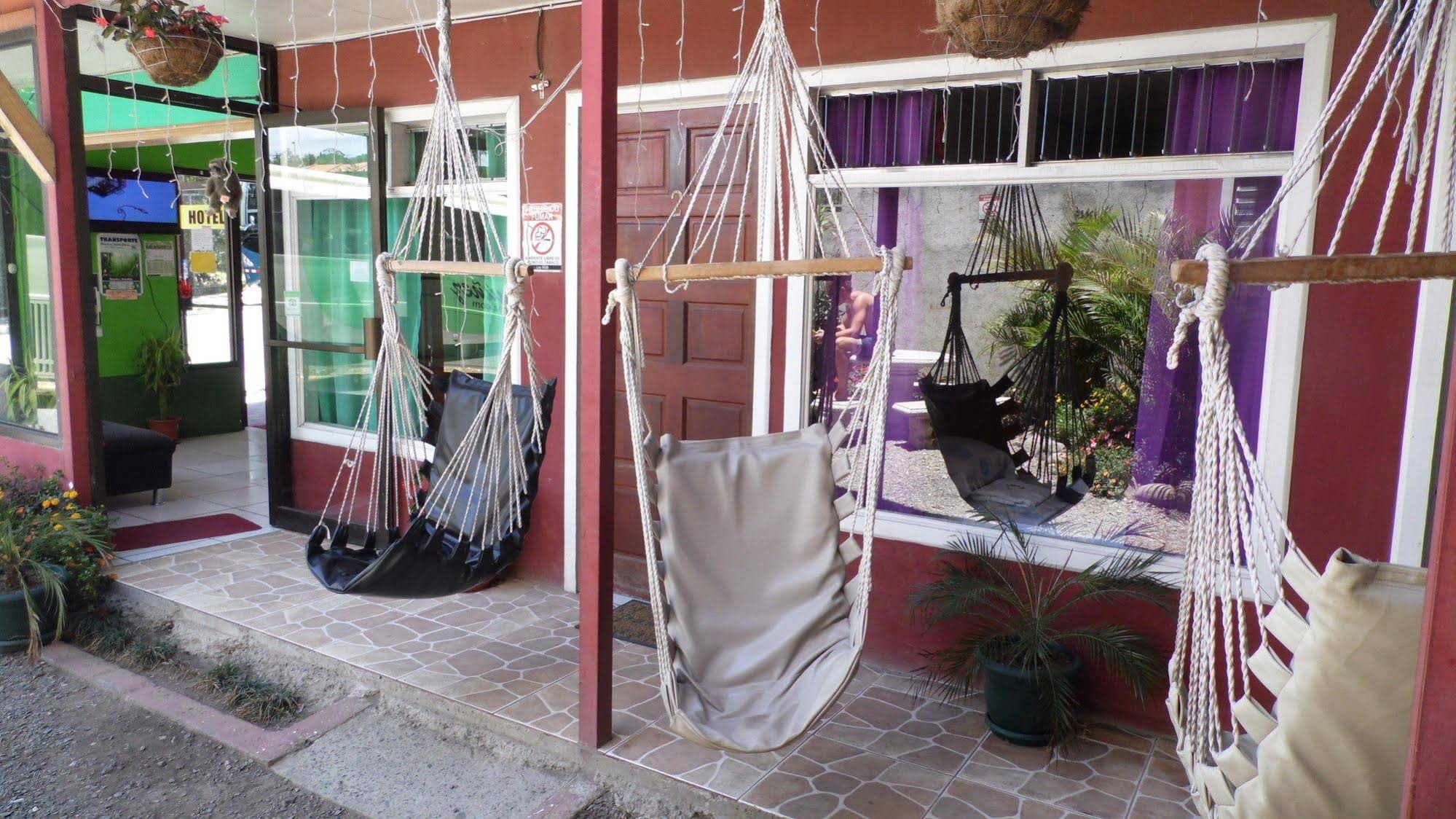 Hotel Sloth Backpackers