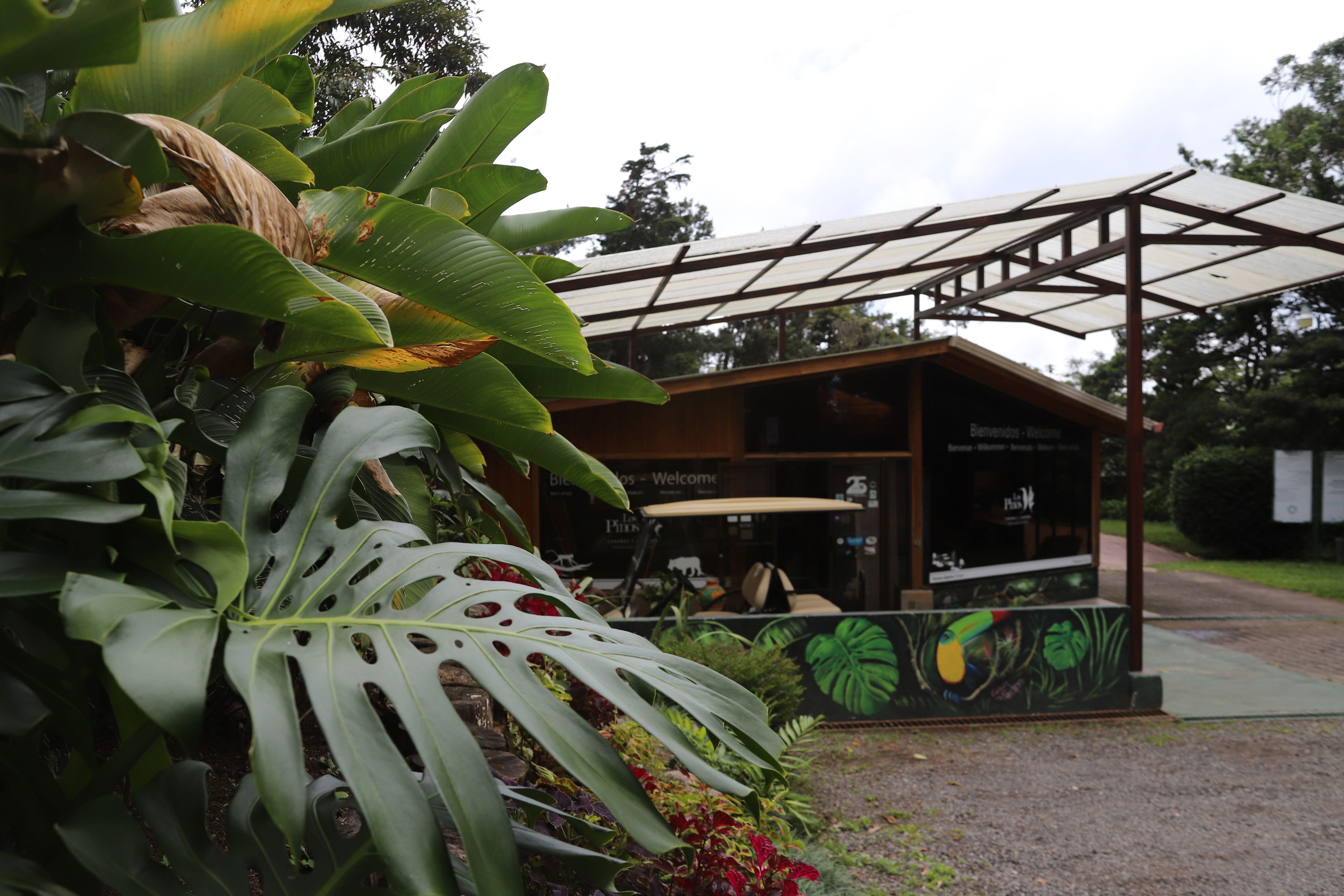 Los Pinos - Cabañas y Jardines