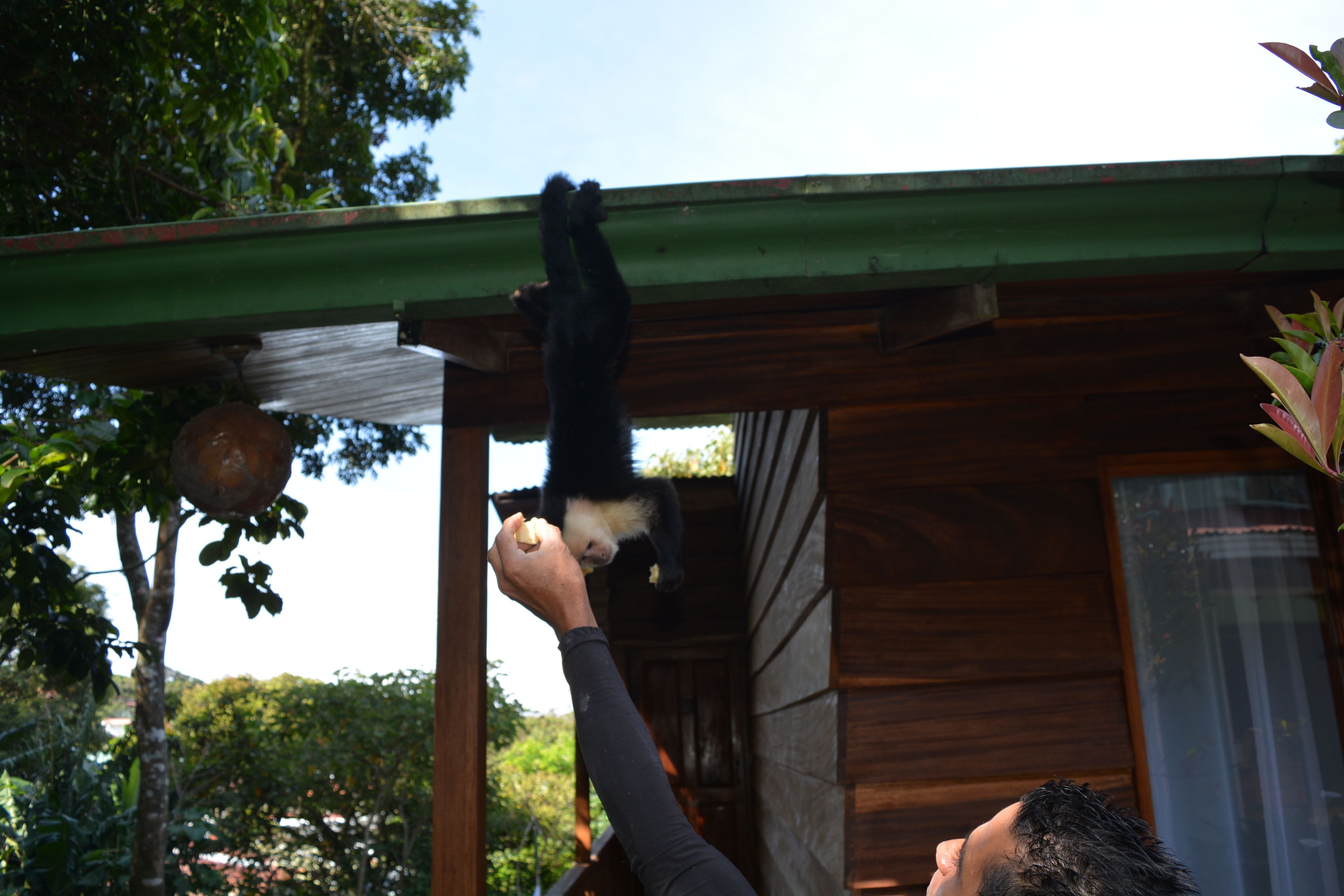 Santa Elena Hostel Resort