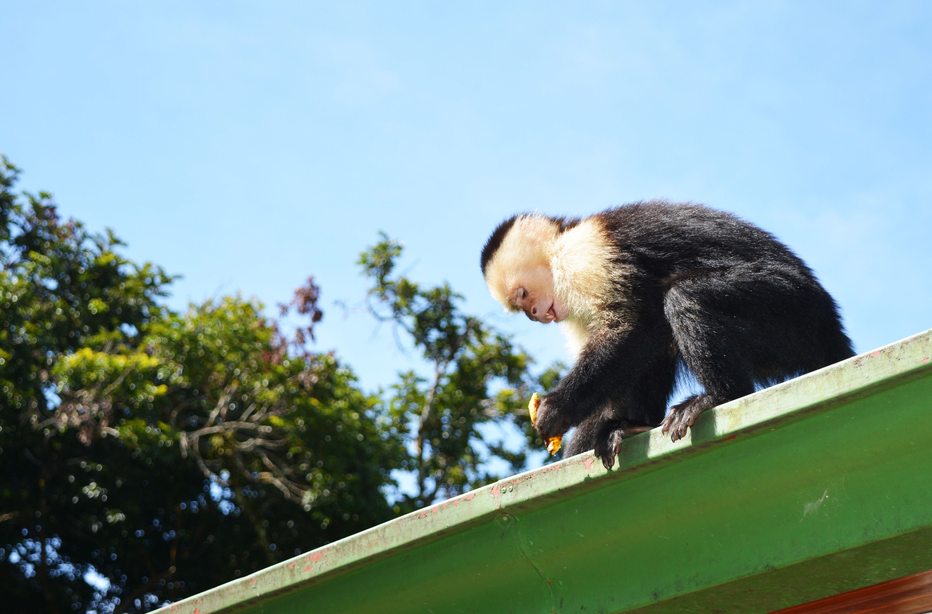 Santa Elena Hostel Resort