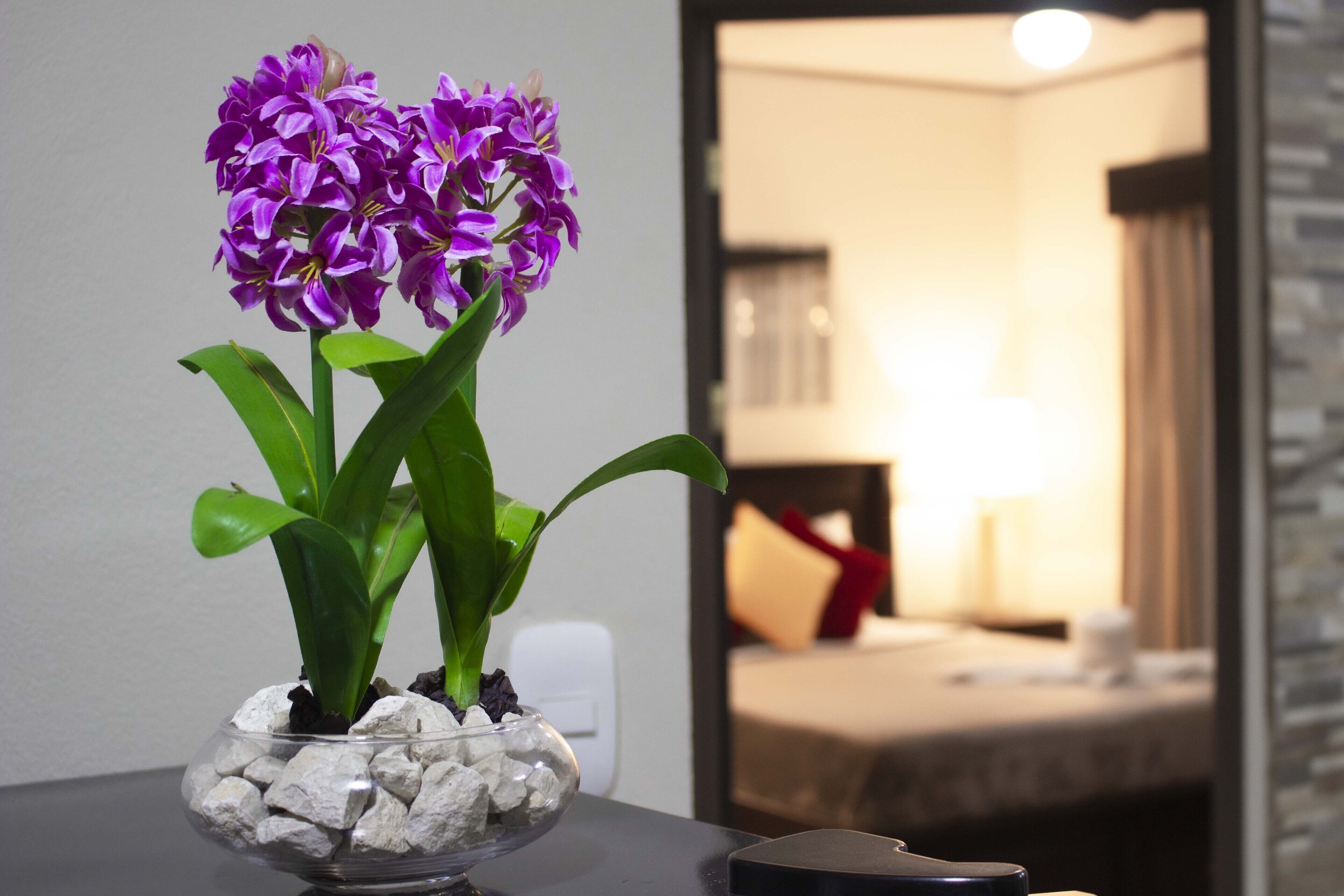 Suites & Villas Calathea