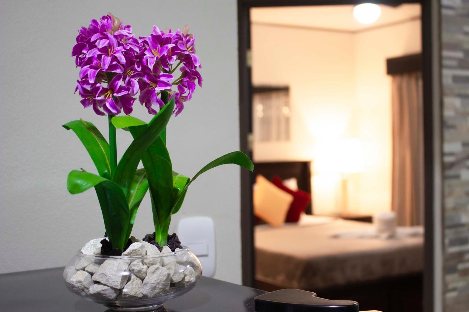 Suites & Villas Calathea