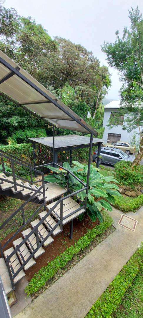 Suites & Villas Calathea