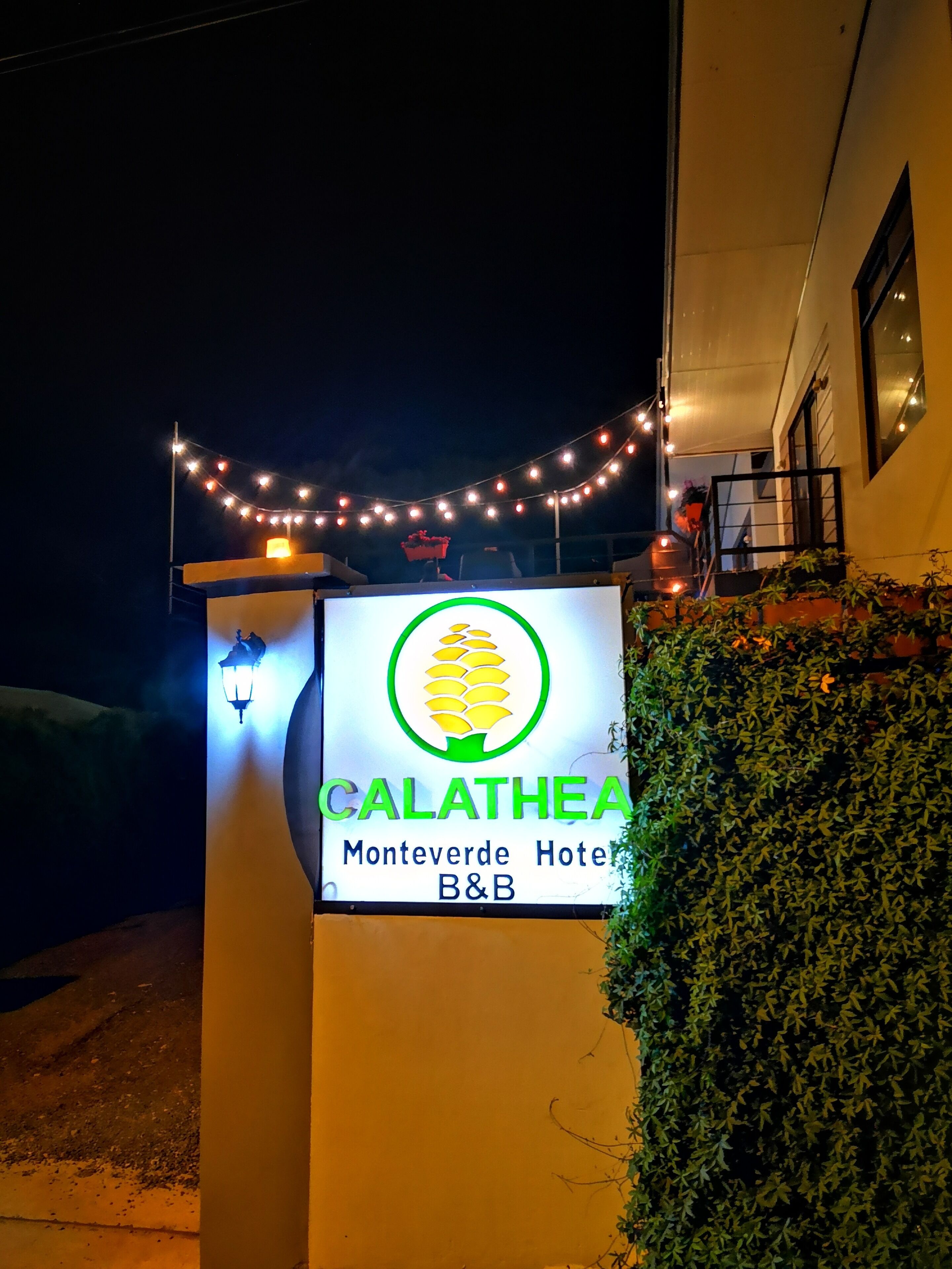 Suites & Villas Calathea