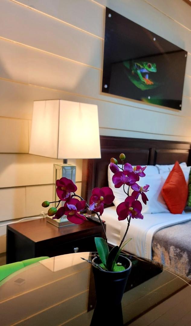 Suites & Villas Calathea
