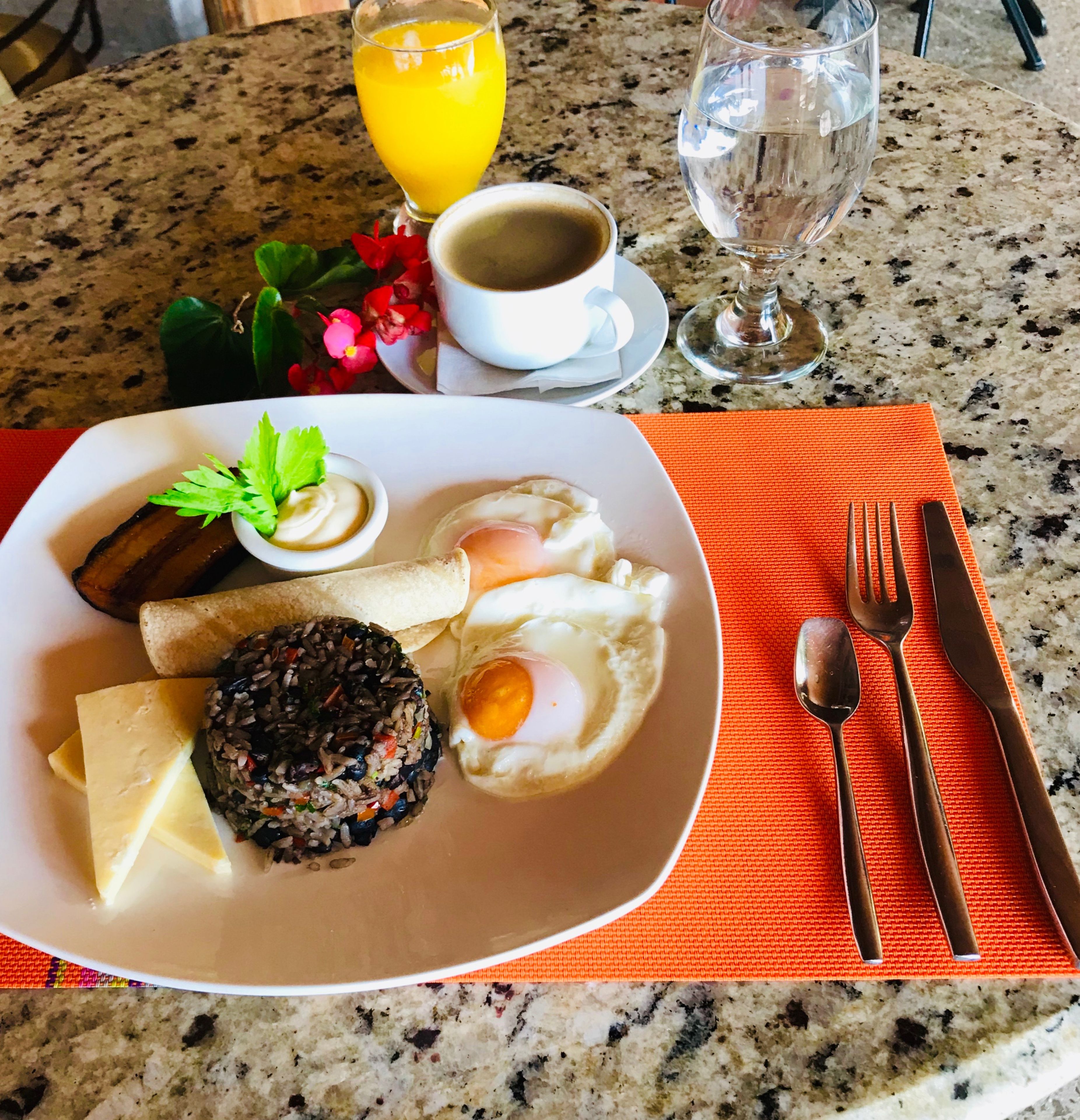 Whitehouse Bed and Breakfast