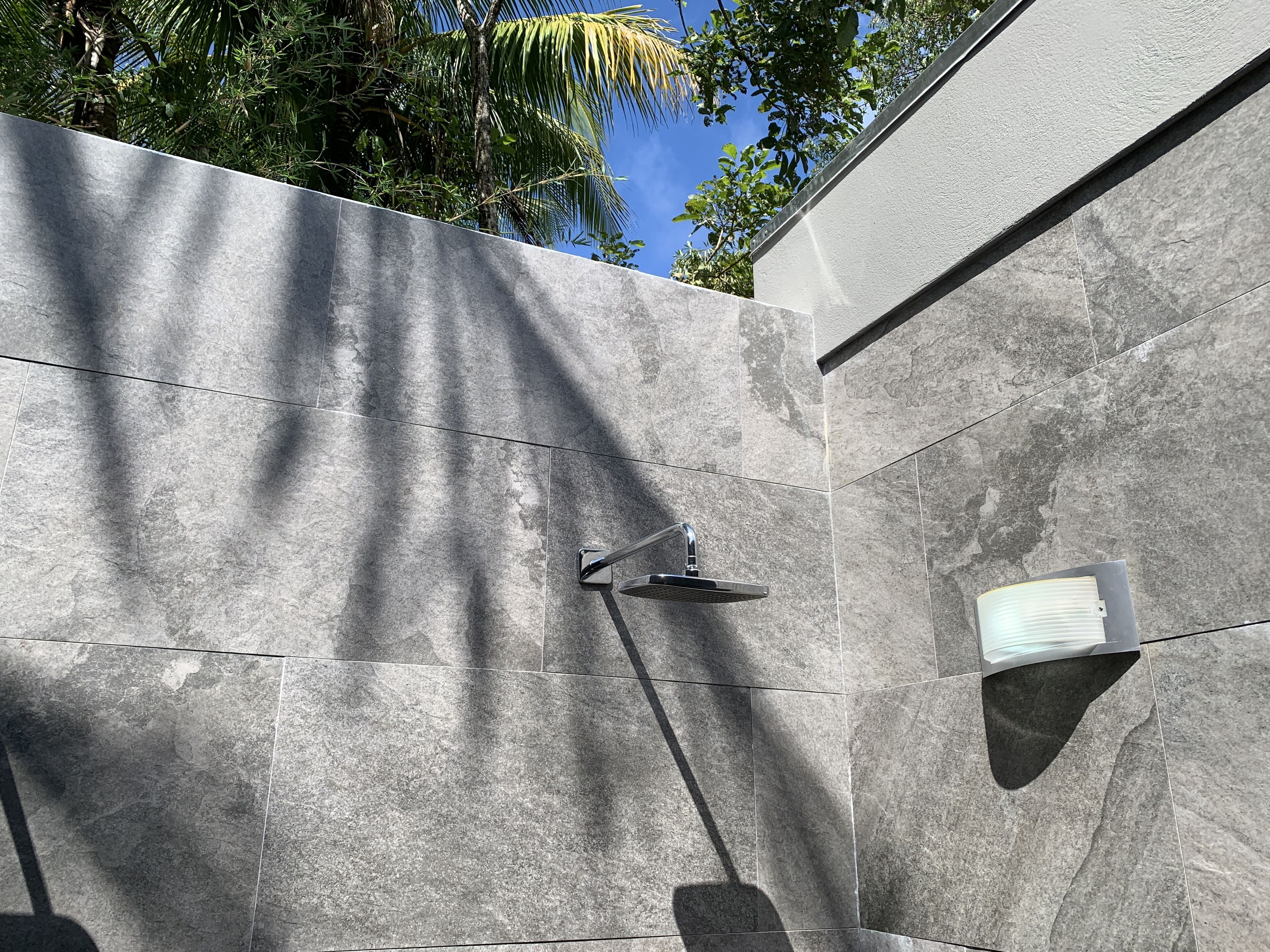 Aves Hotel Montezuma