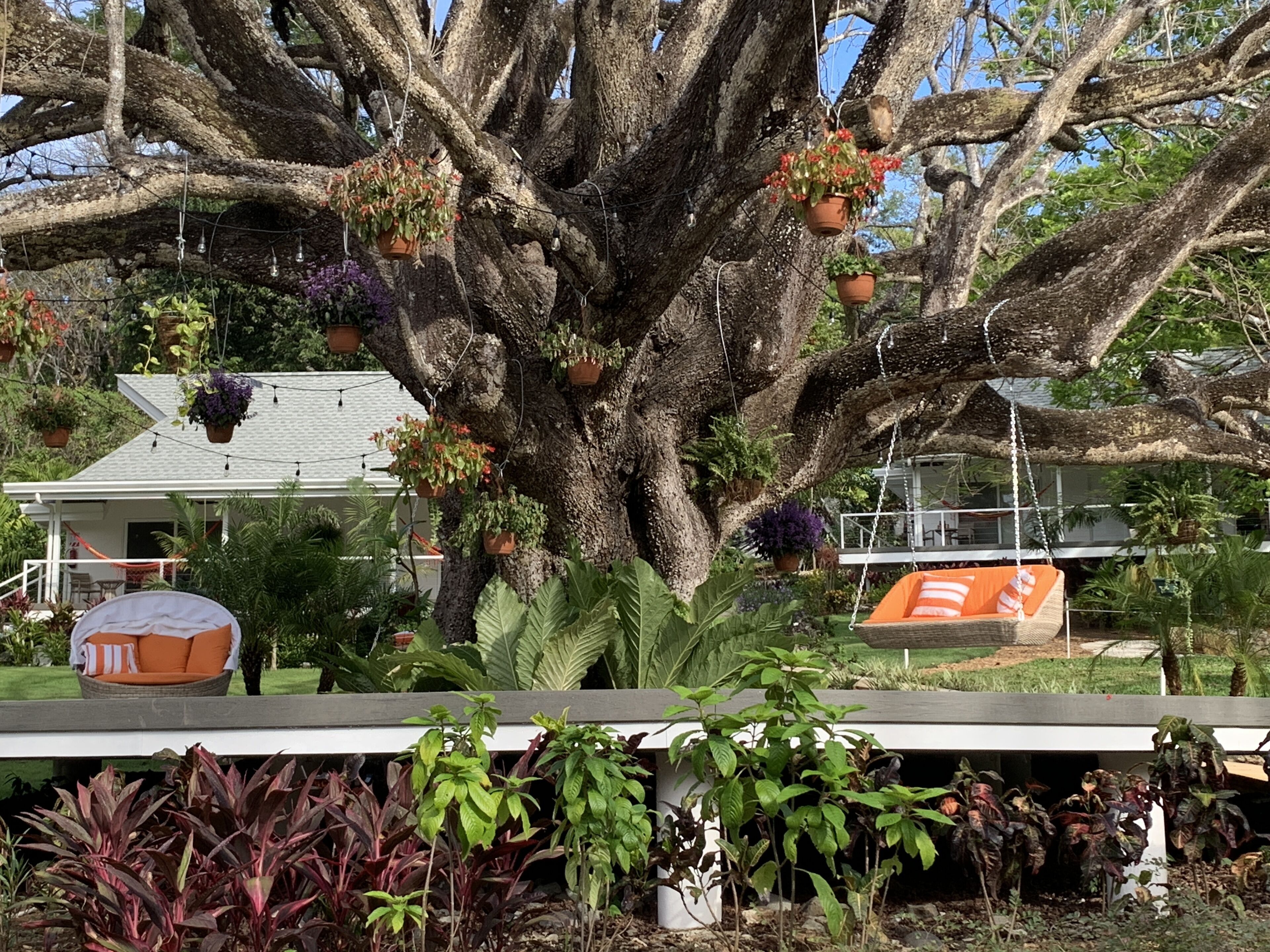 Aves Hotel Montezuma