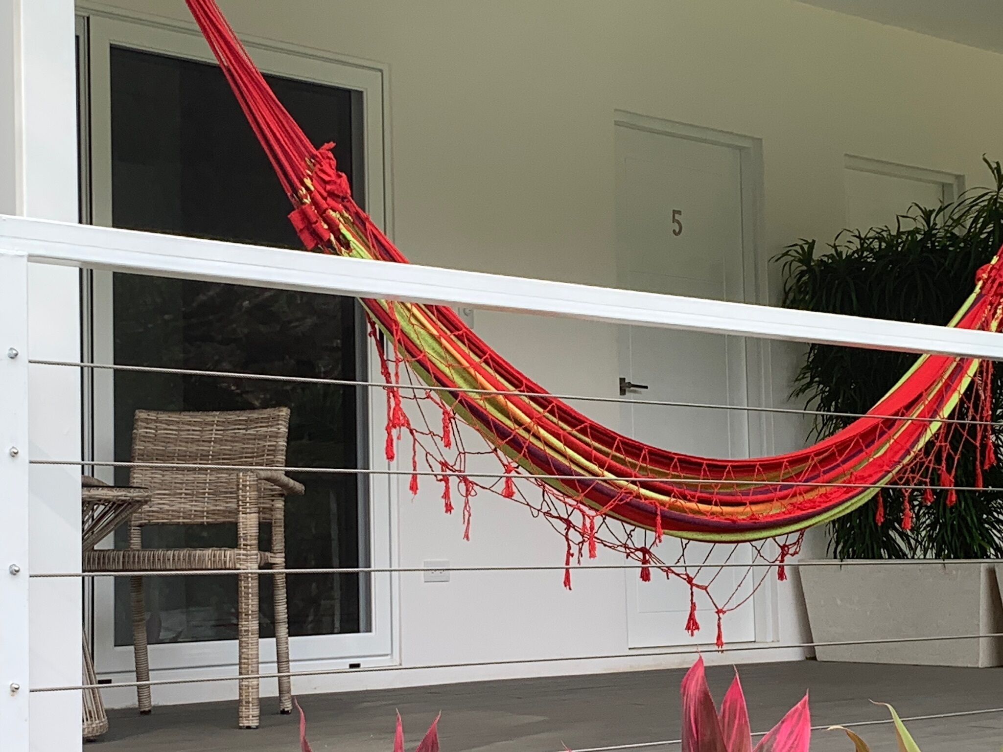 Aves Hotel Montezuma