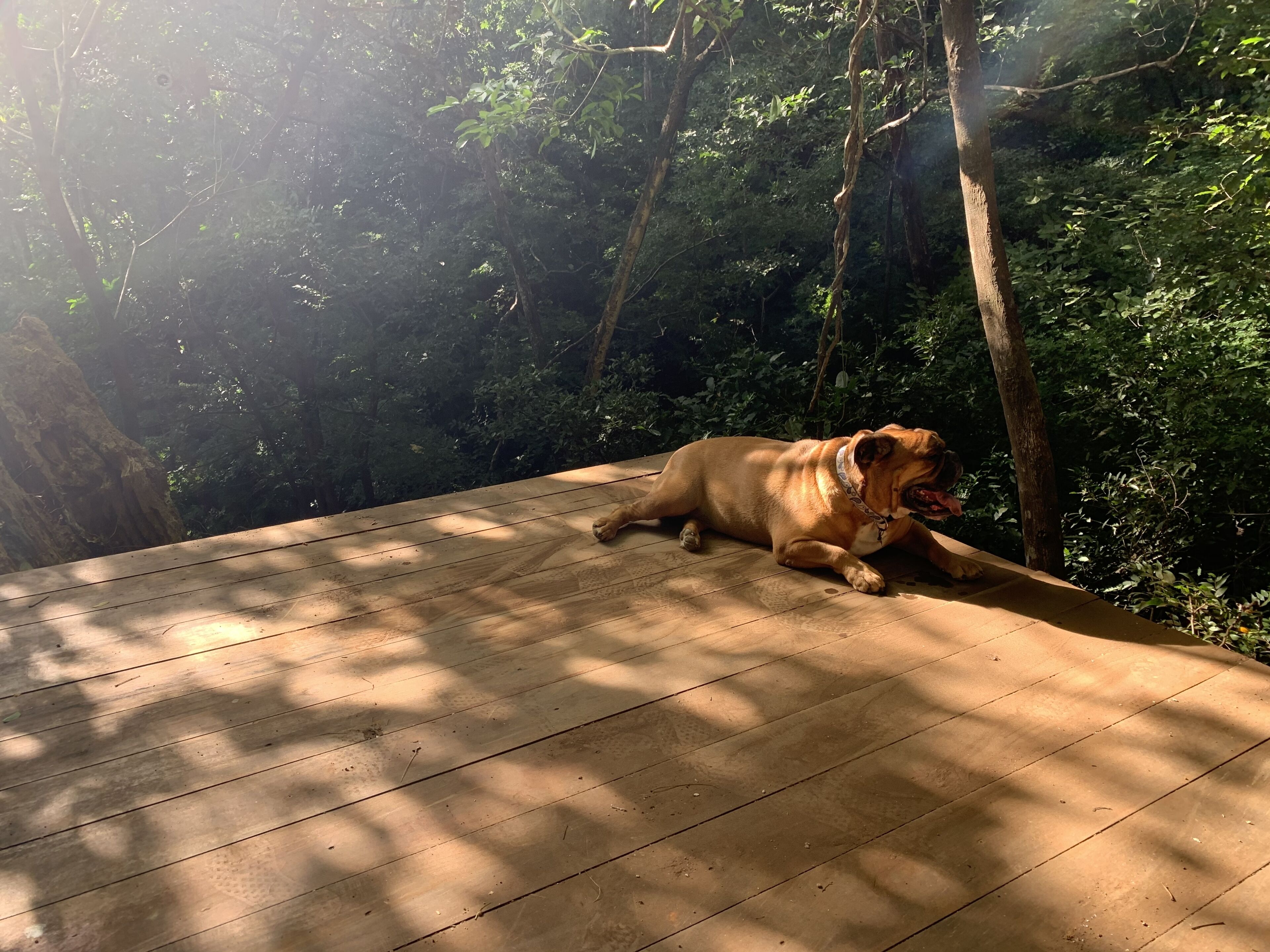 Tierra Magnifica an Intimate Resort