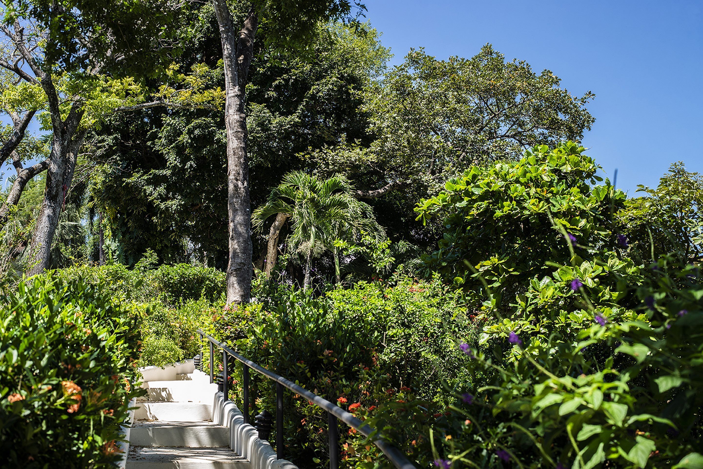 Tierra Magnifica an Intimate Resort