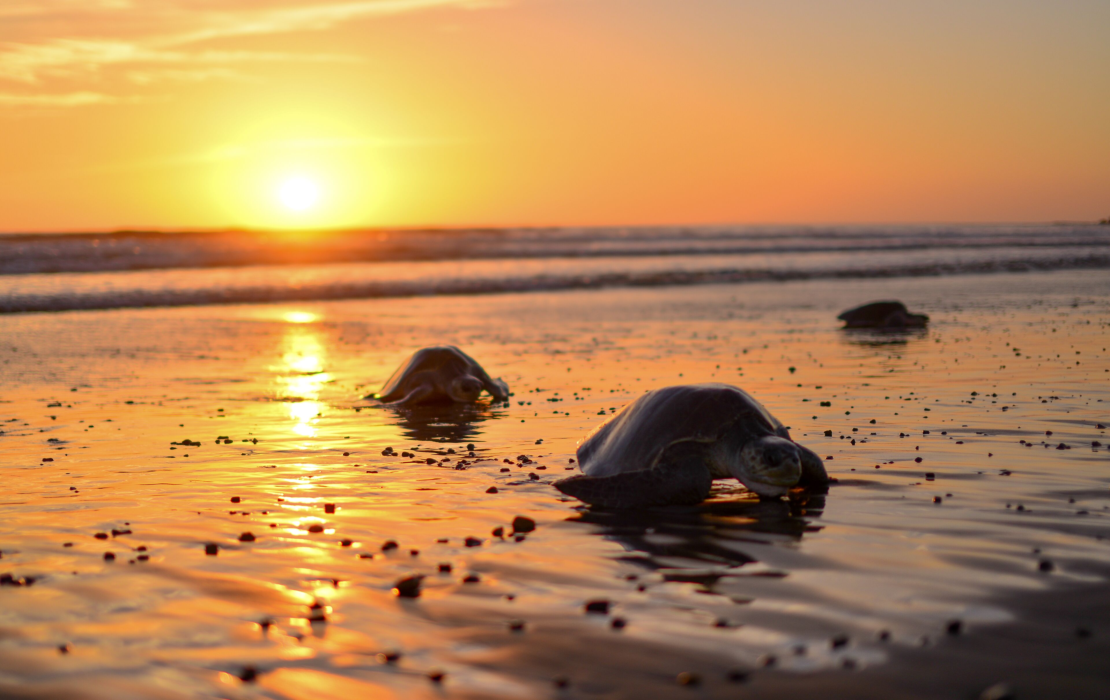 Tierra Magnifica an Intimate Resort