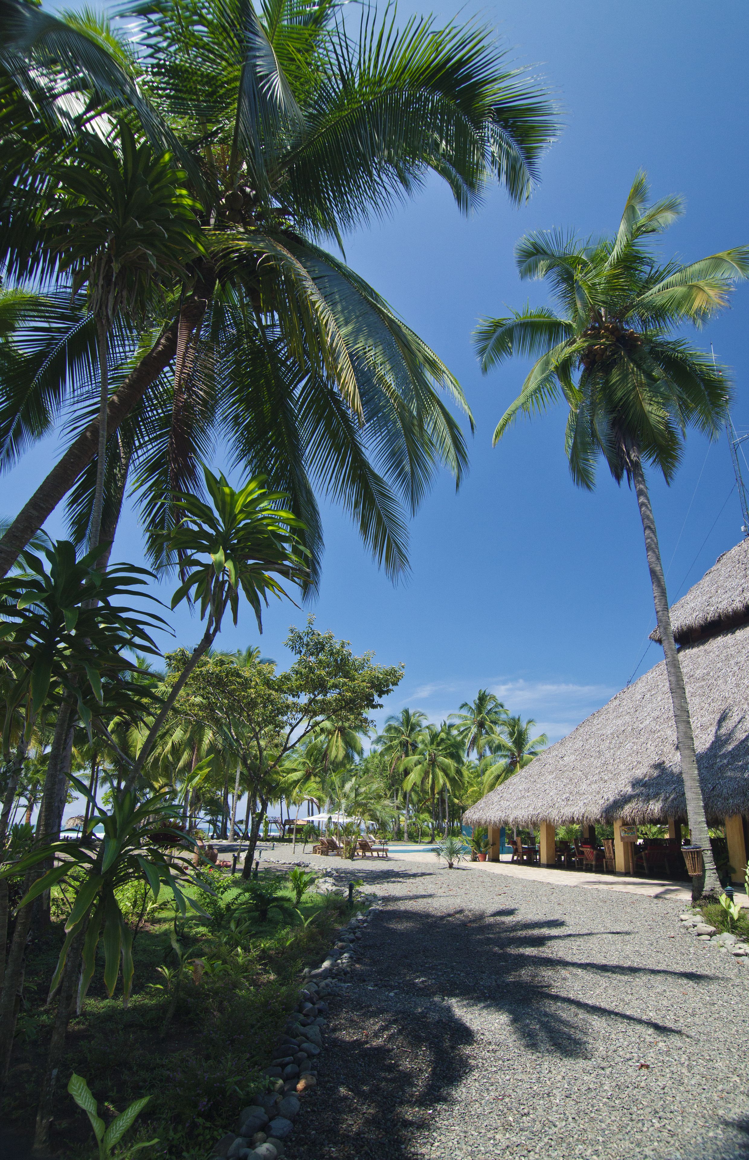 Clandestino Beach Resort