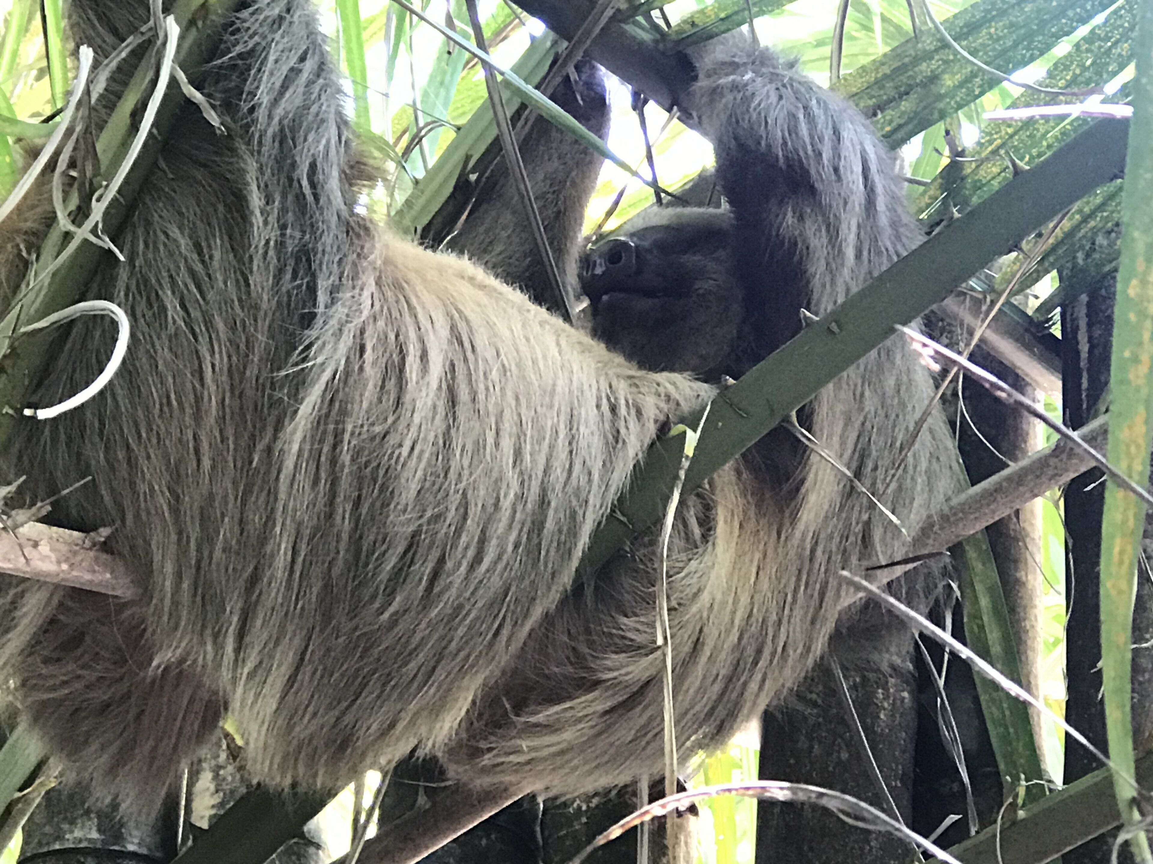 Clandestino Beach Resort