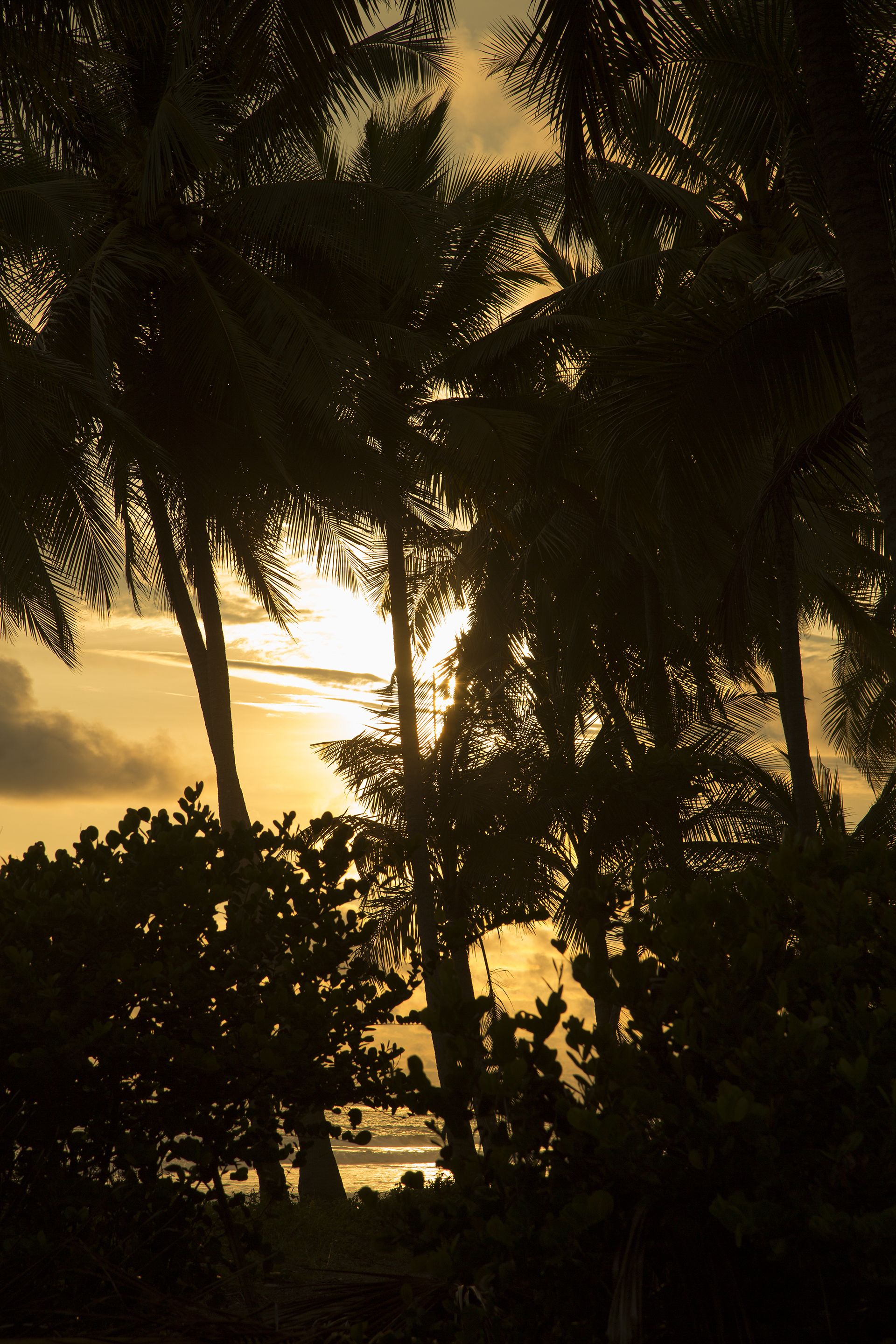 Clandestino Beach Resort