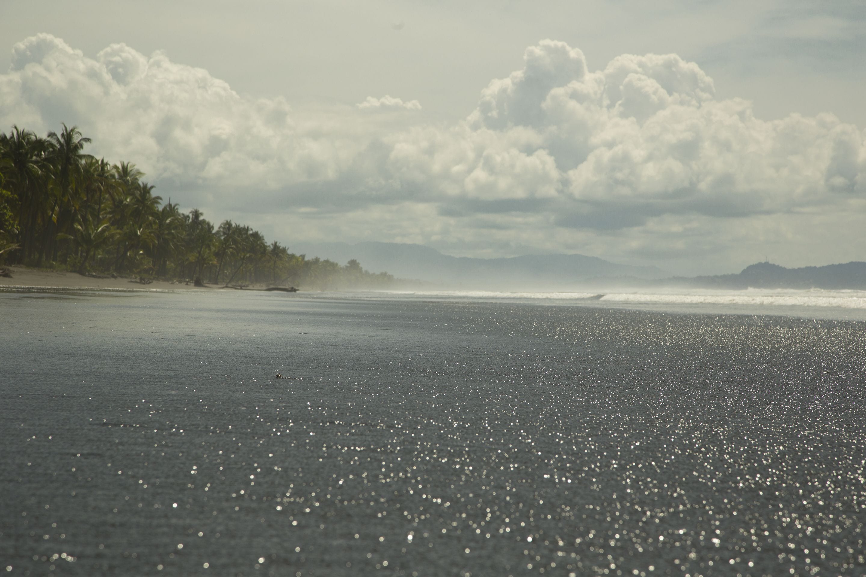 Clandestino Beach Resort