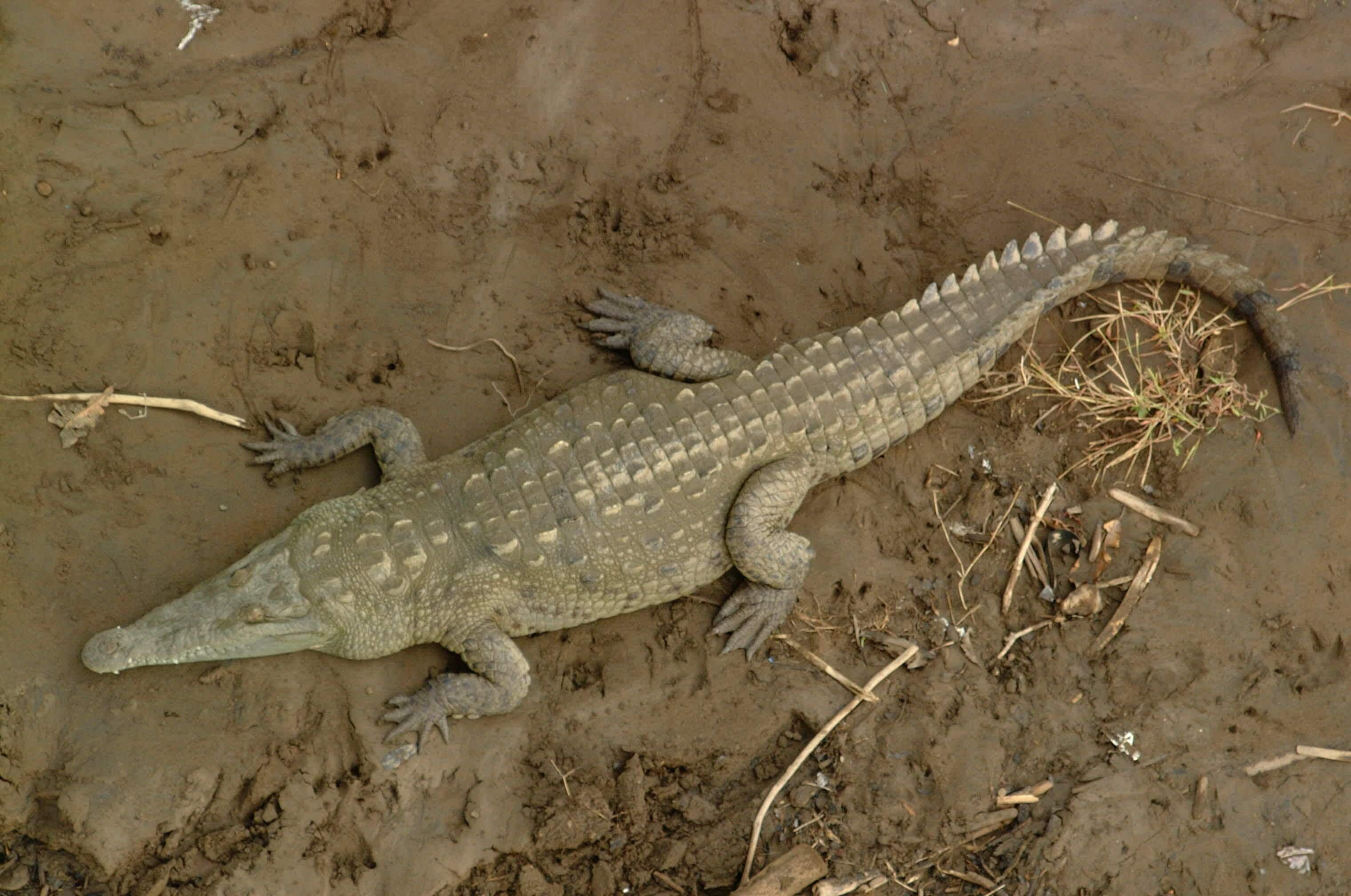 Clandestino Beach Resort