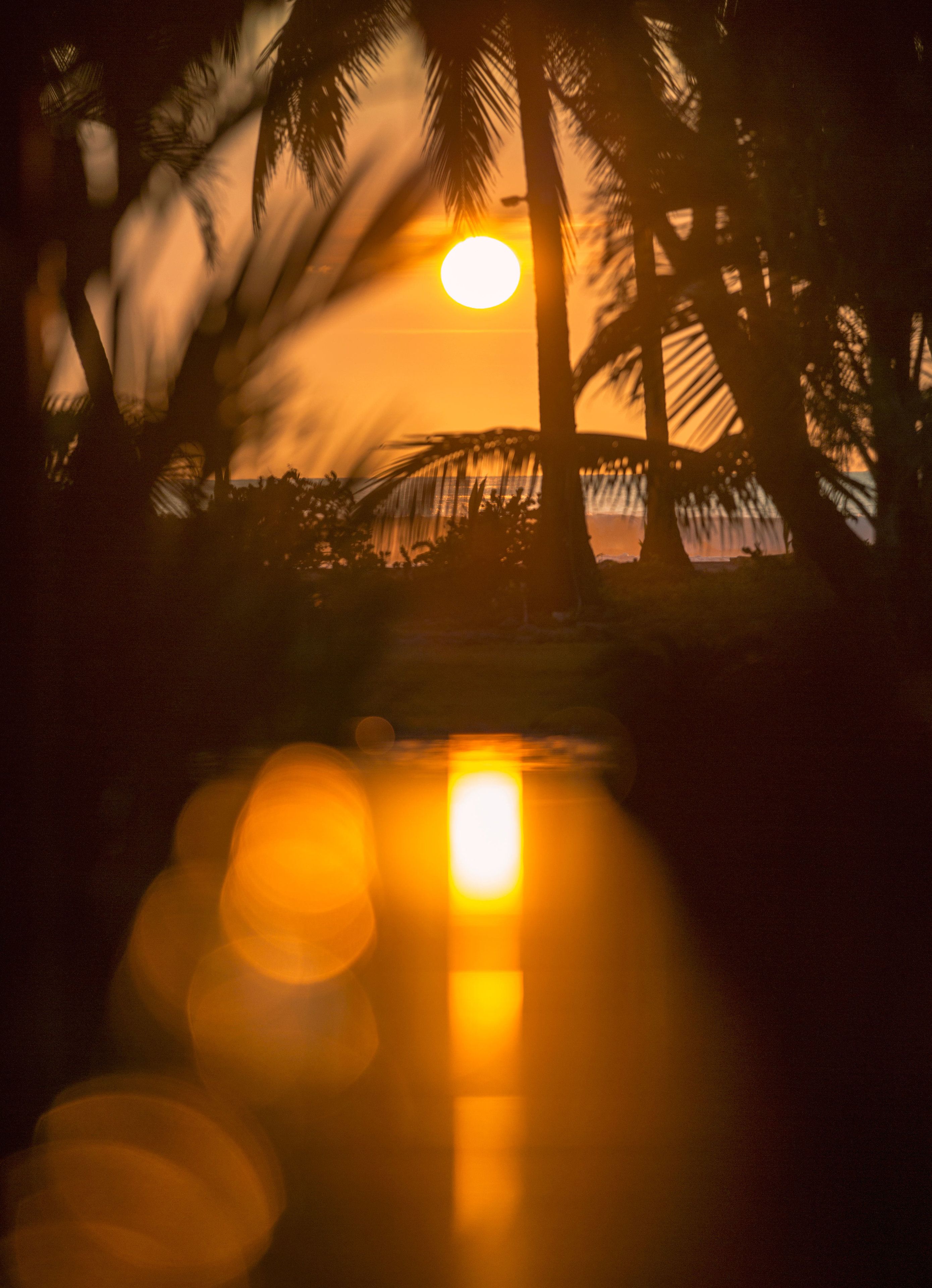 Clandestino Beach Resort