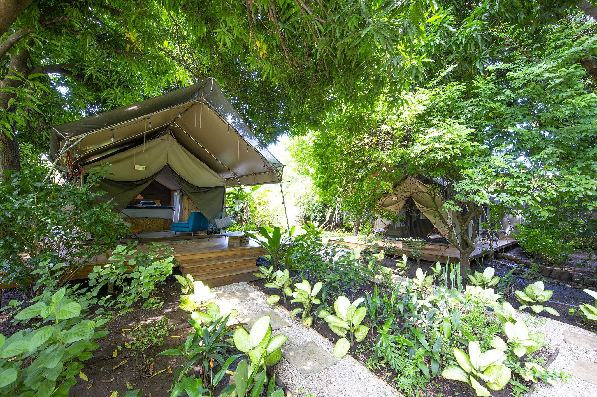 Curiol Boutique Hotel & Lounge