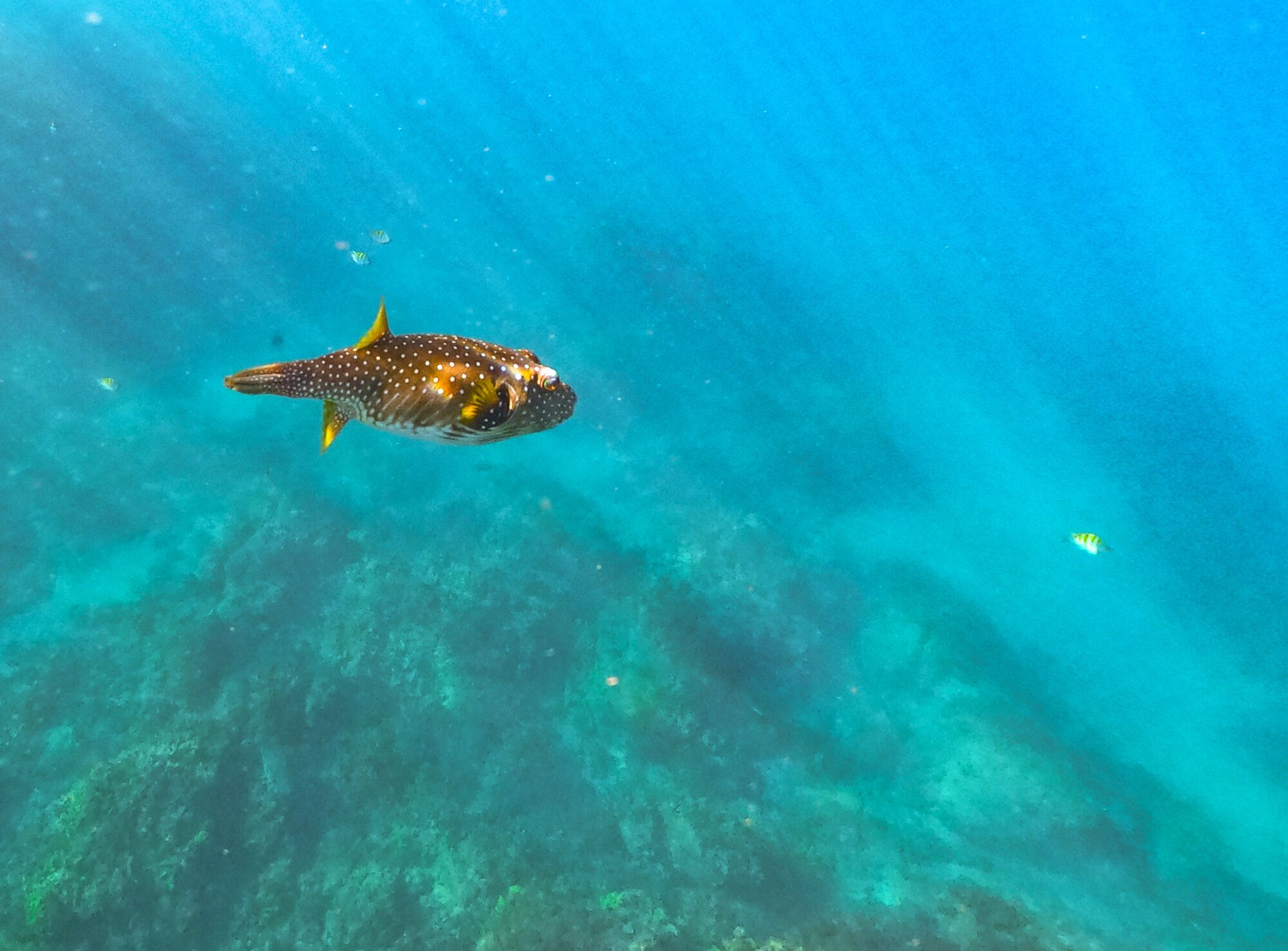 Curiol Boutique Hotel & Lounge