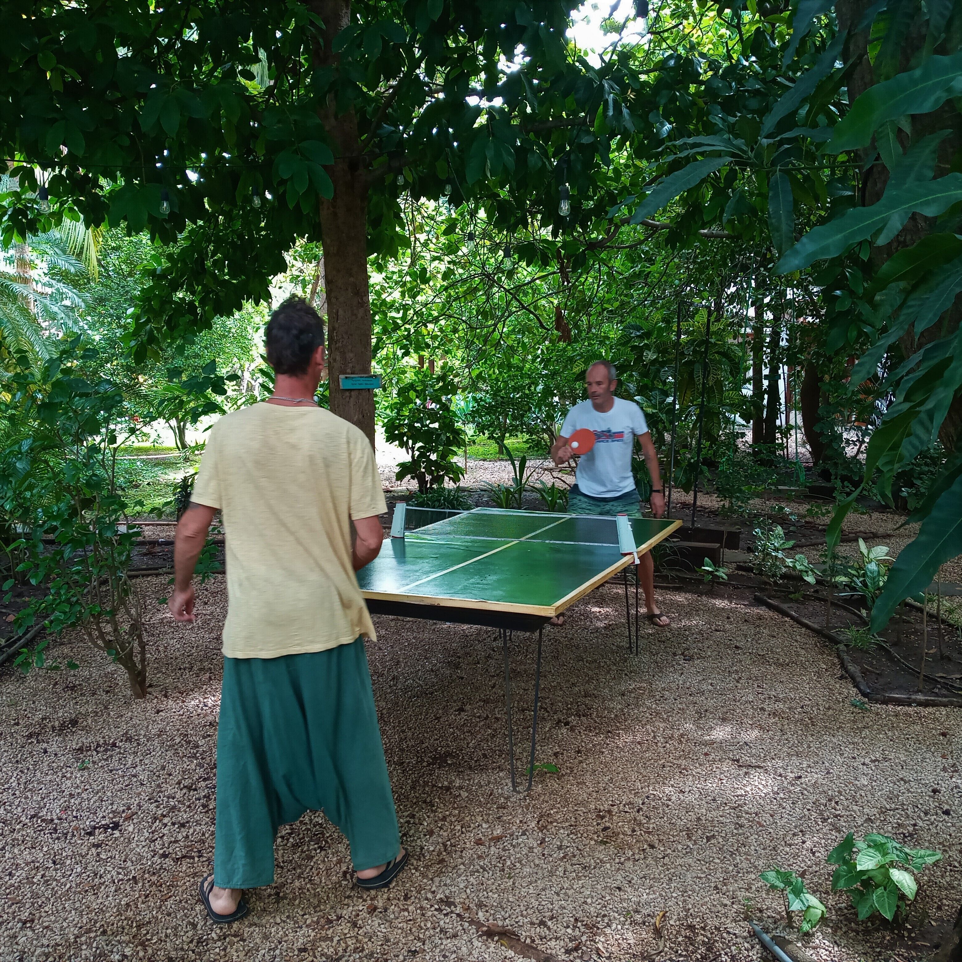 Curiol Boutique Hotel & Lounge