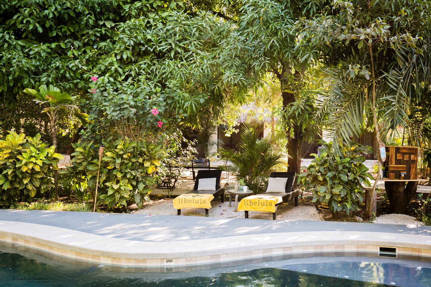 Curiol Boutique Hotel & Lounge